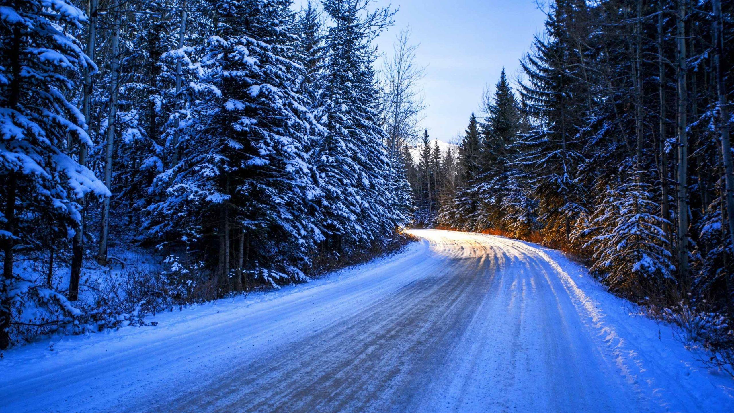 Winter Road Wallpapers - Top Free Winter Road Backgrounds - WallpaperAccess