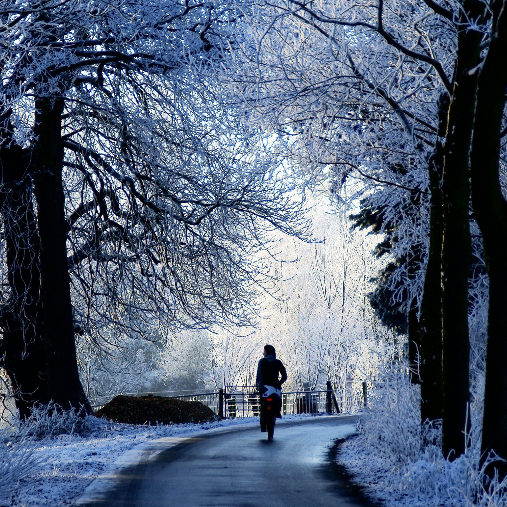 2048x2048 Winter Road Scene iPad Air Wallpaper Free Download