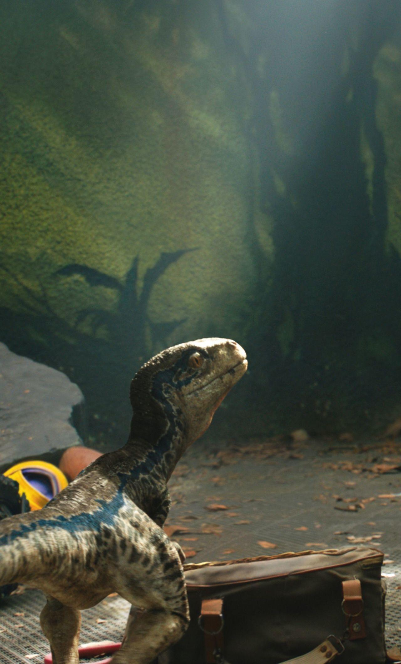1280x2120 Chris Pratt And Little Raptor Jurassic World Hình nền iPhone 6 plus, Phim HD Hình nền 4K, Hình ảnh, Hình ảnh và Nền