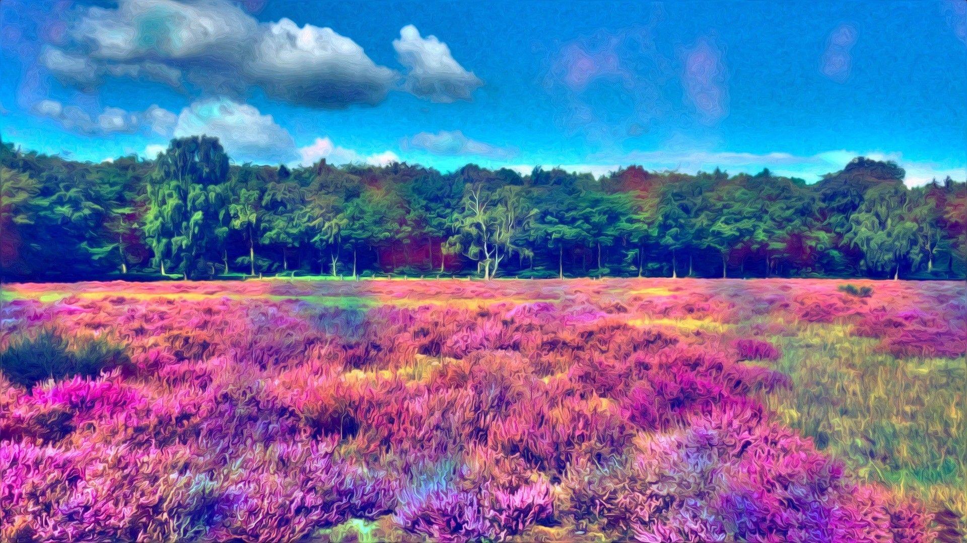 1920x1080 Psychedelic Desktop Wallpaper 50041 1920x1080px