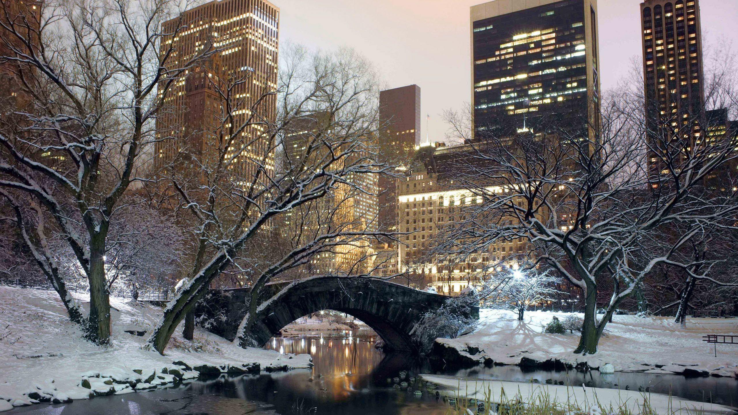 2560x1440 Winter Wallpaper for Desktop