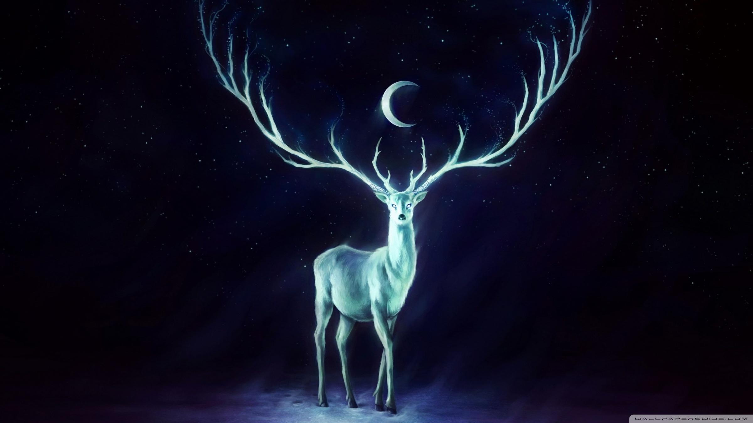 2400x1350 Stag Wallpaper