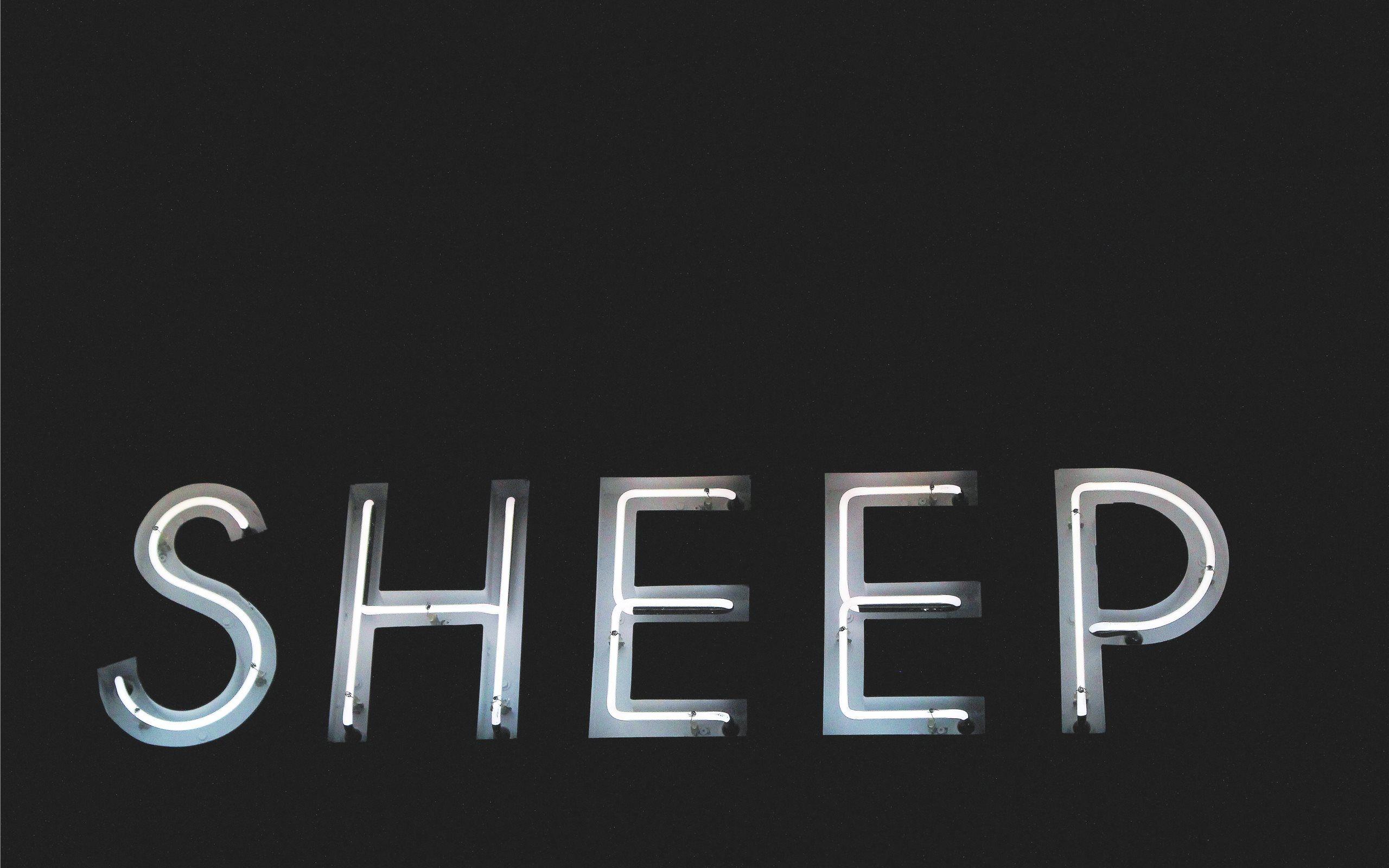 2560x1600 White Neon Sign Sheep MacBook Air Wallpaper Download
