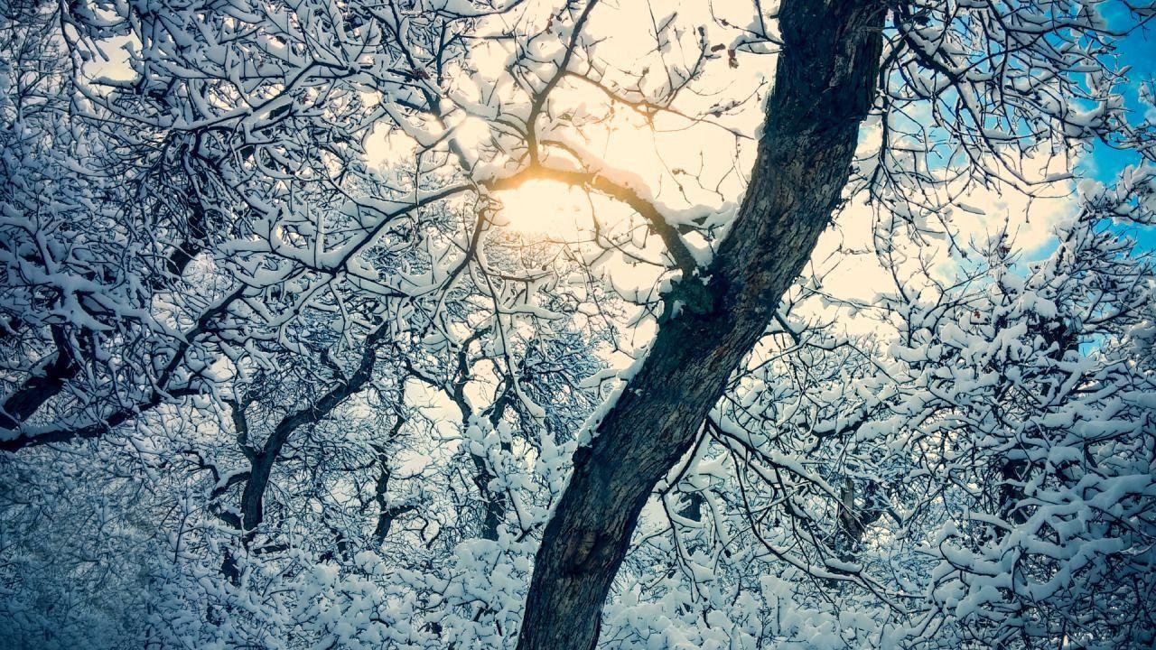 1280x720 Momentary. Wallpaper background, Wallpaper, Background