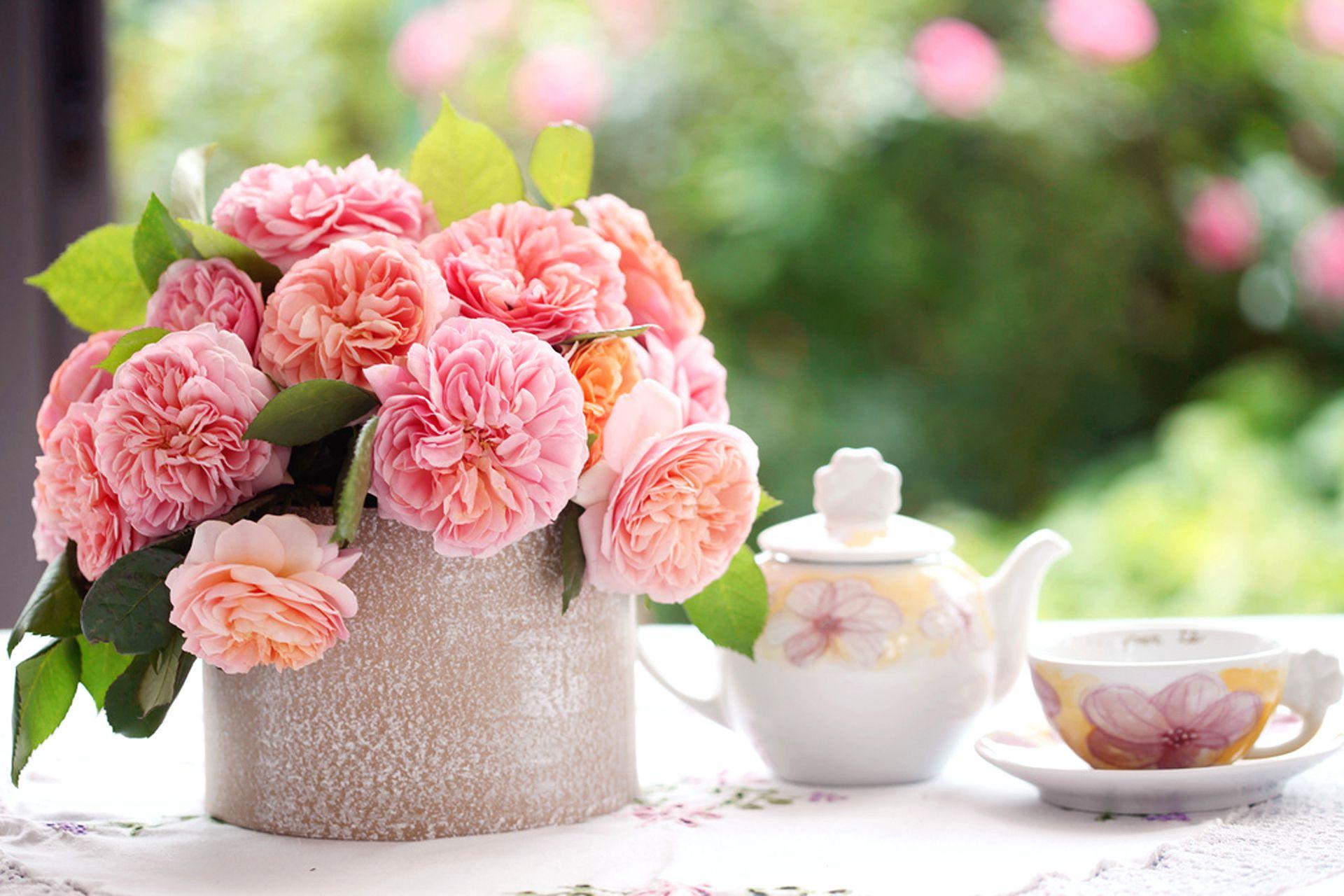 1920x1280 Teapot HDQ Image. PPD24 4K Ultra HD Wallpaper For Desktop