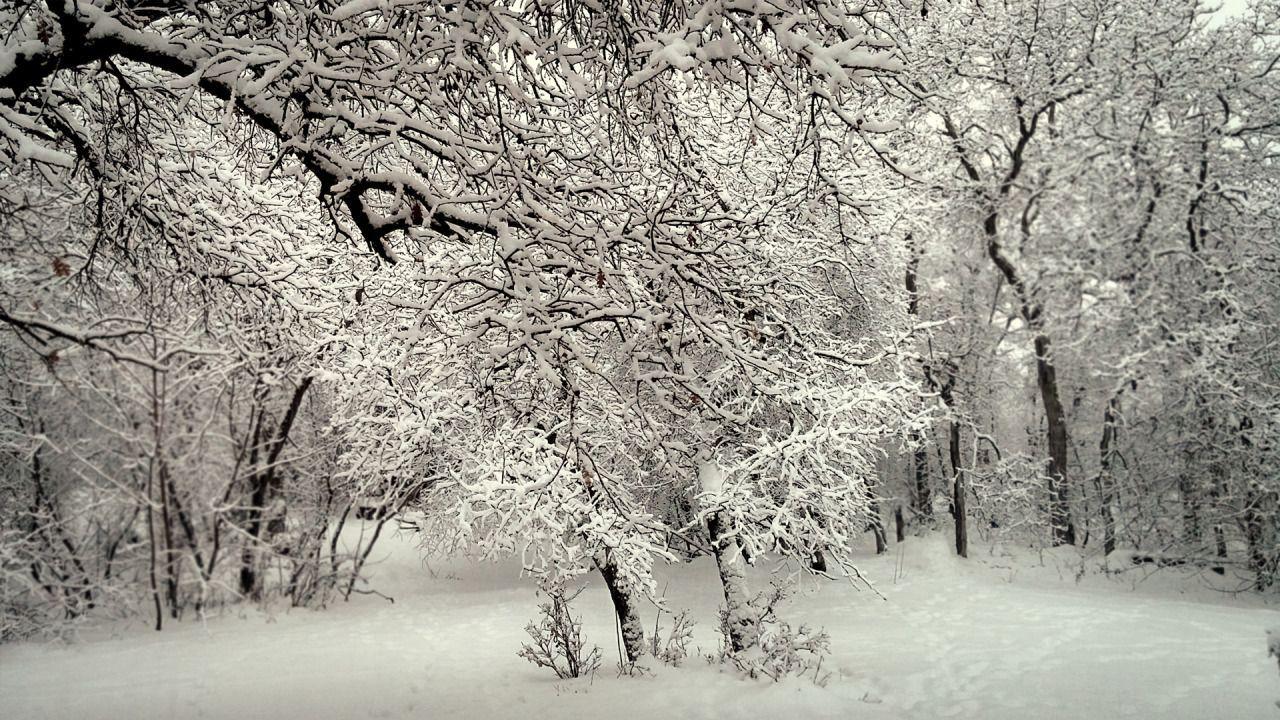 1280x720 Snowy Afternoon. Wallpaper, Wallpaper background, Custom wallpaper