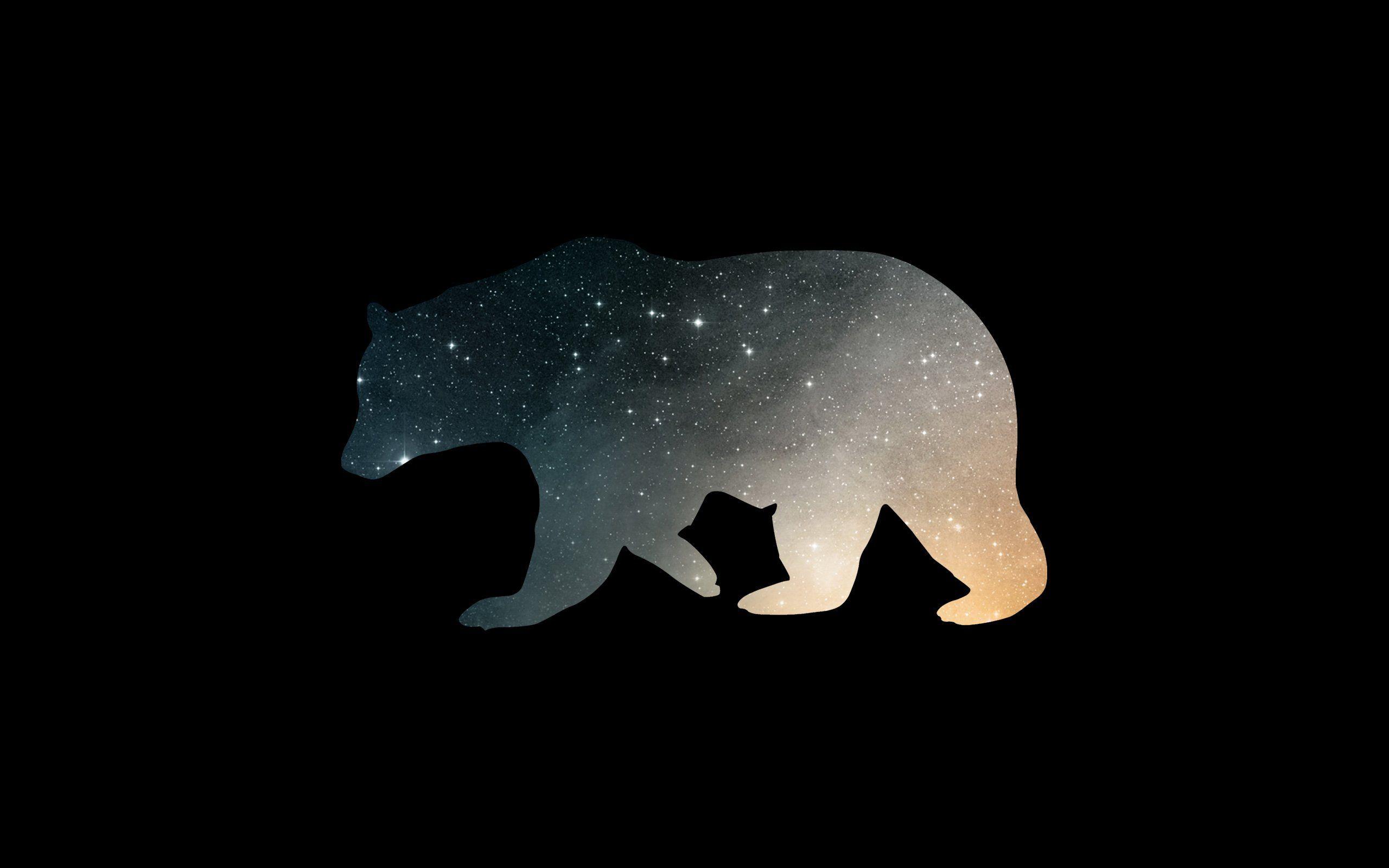 2560x1600 Bear Wallpaper