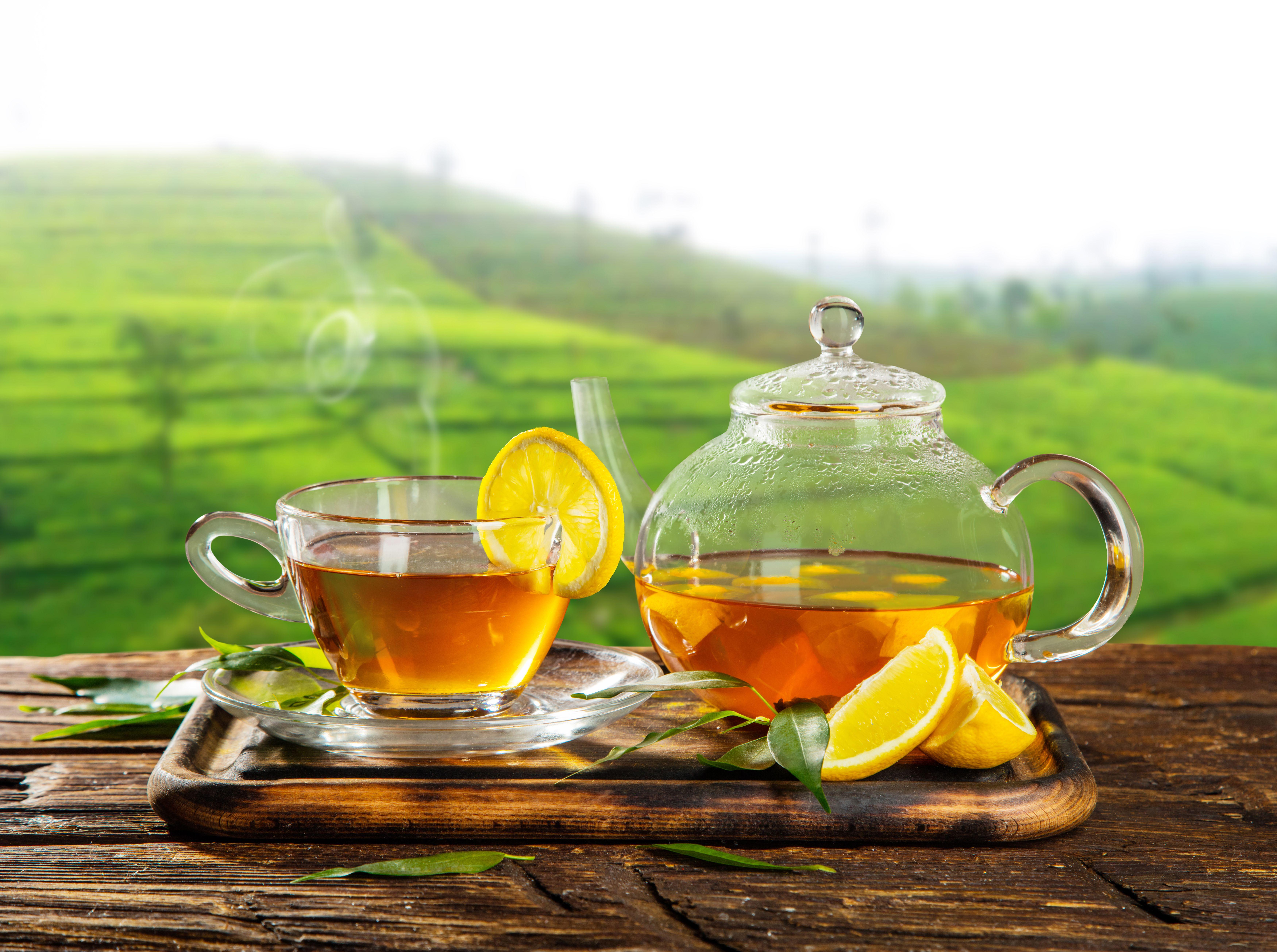 7000x5220 Cup Depth Of Field Drink Lemon Tea Teapot wallpaperx5220
