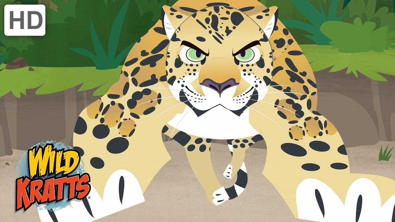 1280x720 Wild Kratts Beautiful Animals