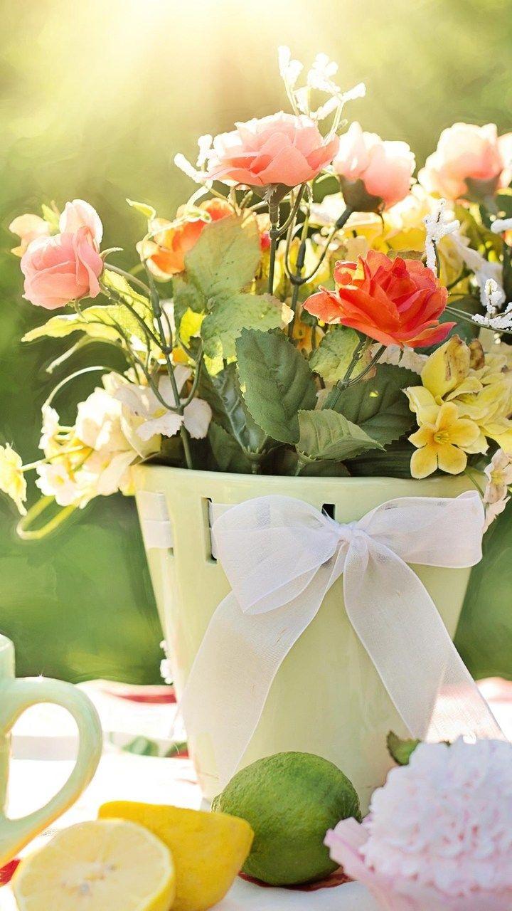 Flower Pot Wallpapers - Top Free Flower Pot Backgrounds - WallpaperAccess