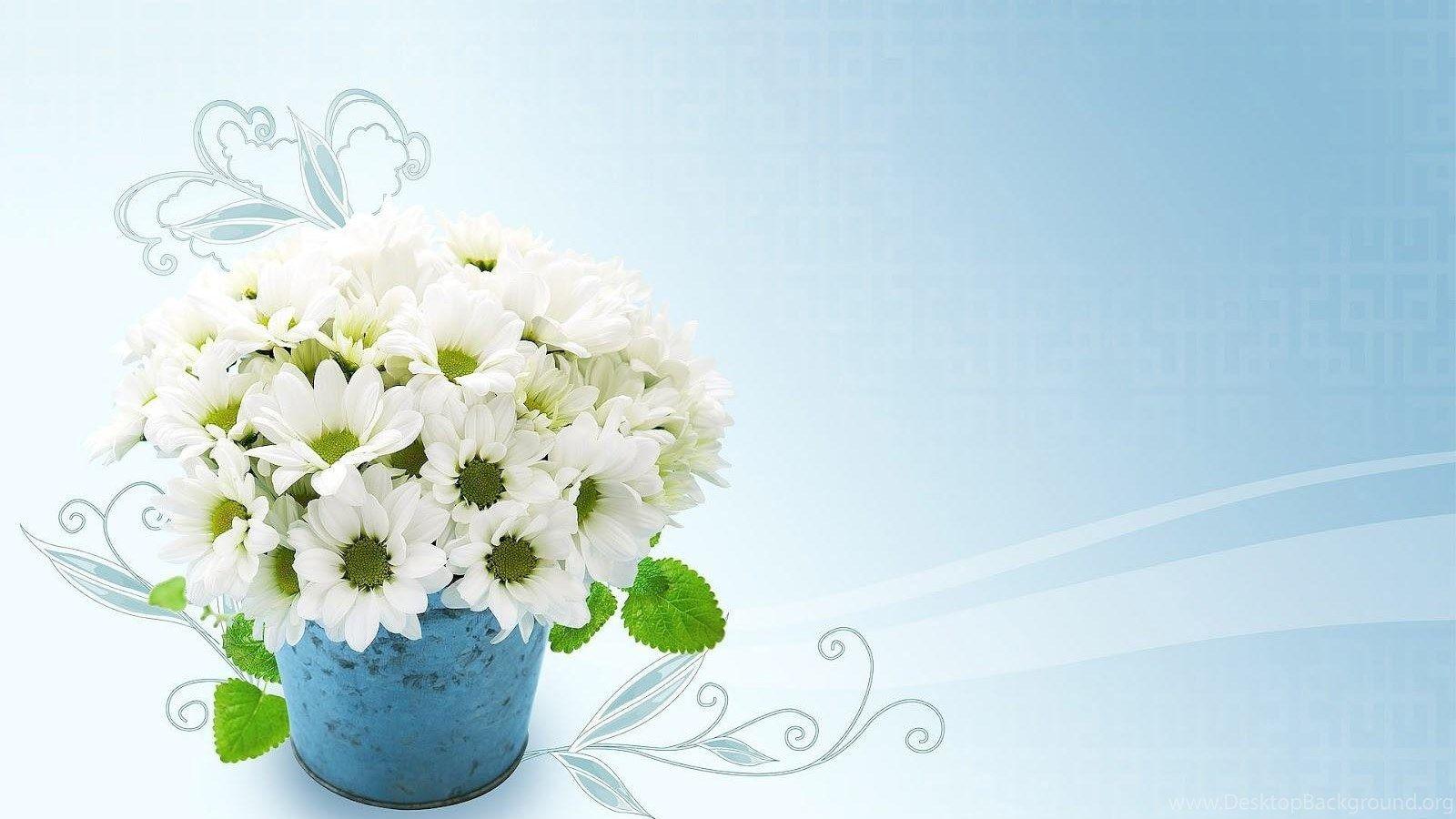 1600x900 Flower Pot Wallpaper HD Wallpaper Pretty Desktop Background