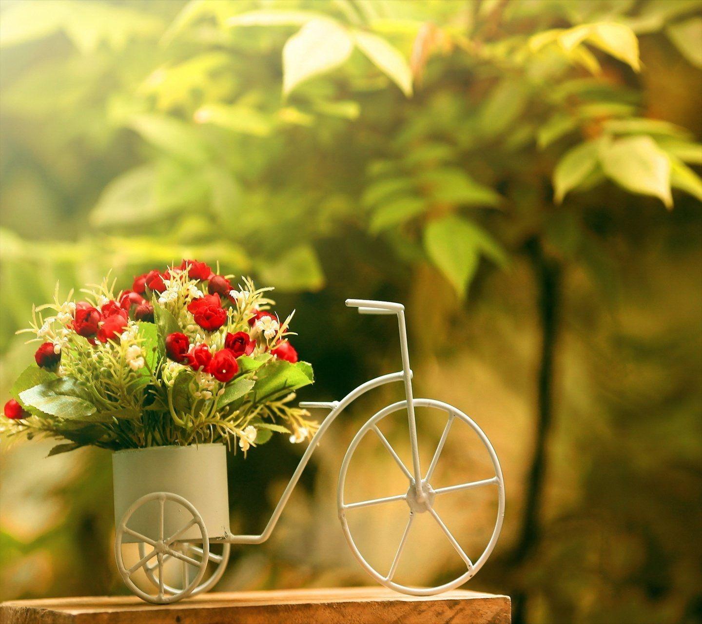1440x1280 Image by asmaa fahmy on LV. Beautiful flowers wallpaper, Flower wallpaper, Beautiful flowers image