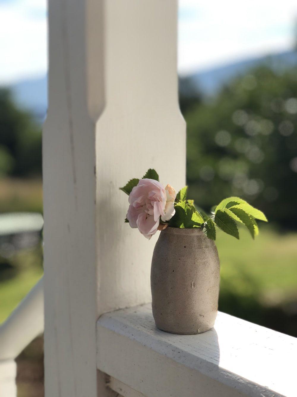 1000x1333 Flower Vase Picture [HD]. Download Free Image
