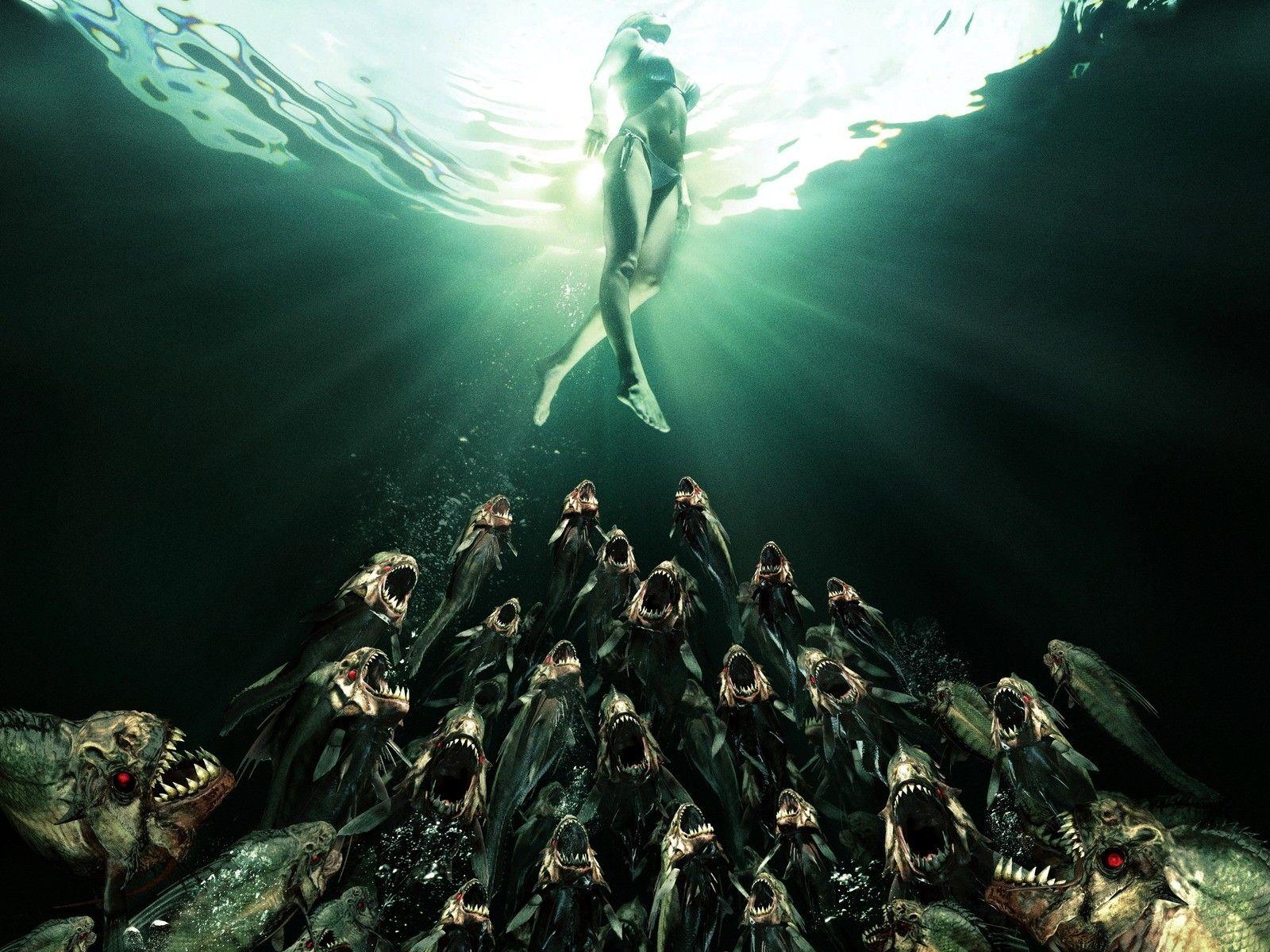 Piranhas Wallpapers - Top Free Piranhas Backgrounds - WallpaperAccess