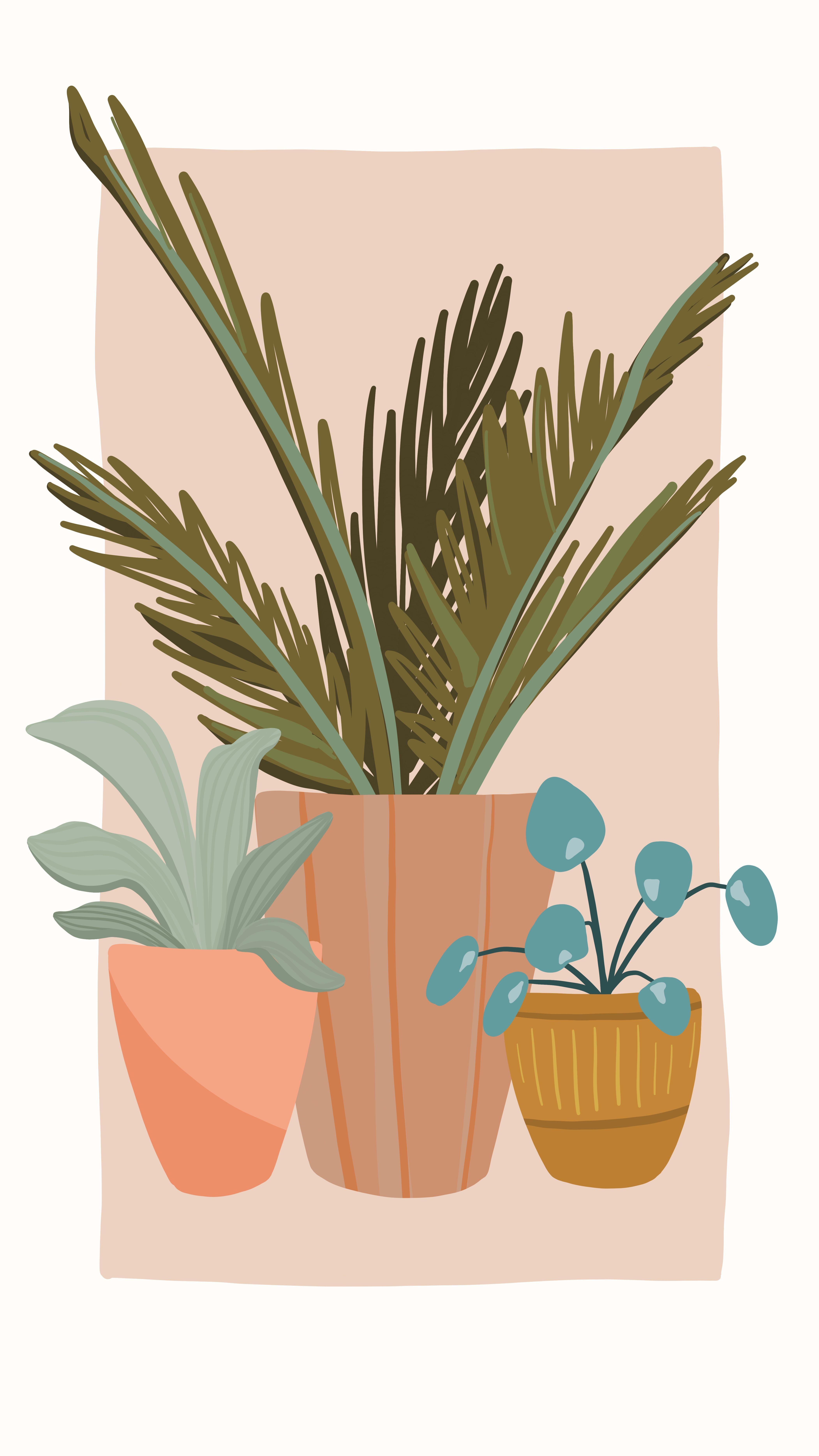 4205x7474 My May Flowers: a daily drawing challenge. Potted plants, fern, succulents, aloe, pottery, greenery, illustration, i. Plant drawing, Plant art, Plant illustration