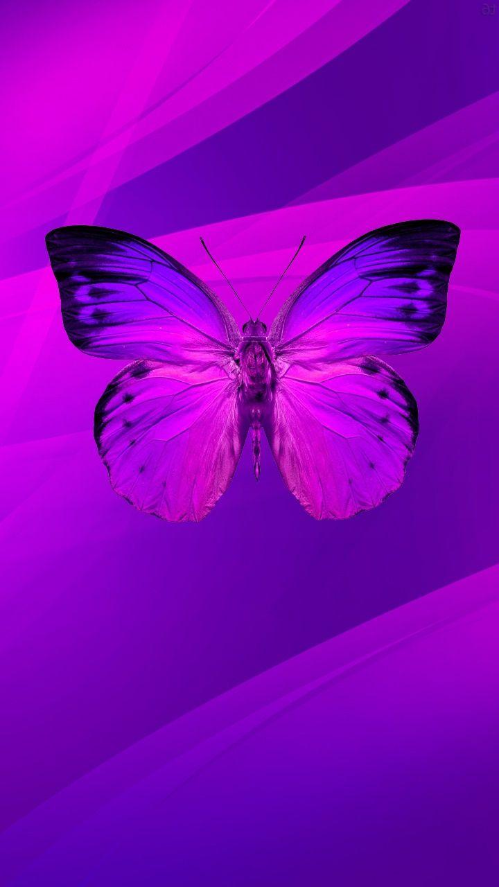 720x1280 dressed purple wallpaper note 10 s11 fold iphone 11 33 720x1280 2700000001