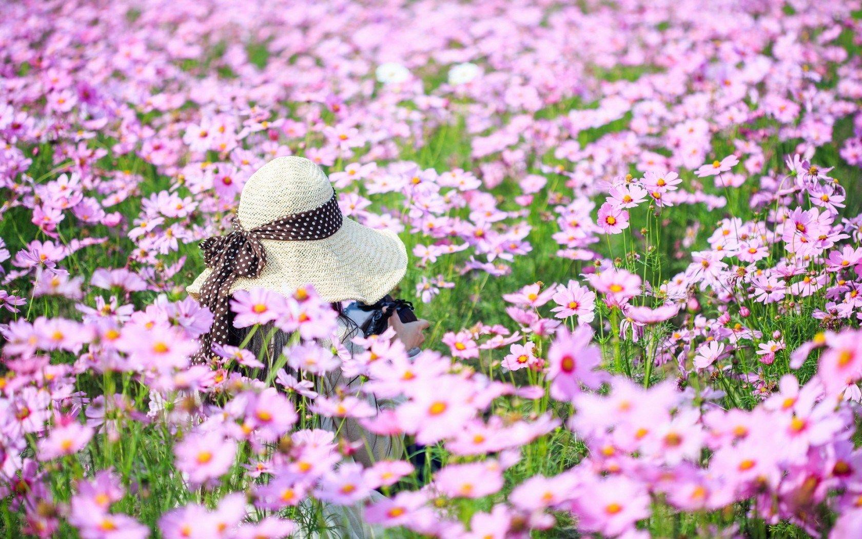 1680x1050 Beautiful Flower Field Wallpaper