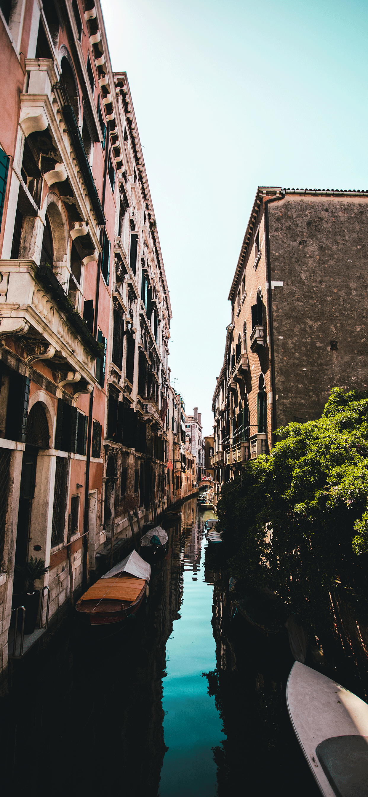 1242x2688 Venice Wallpaper for iPhone Pro Max, X, 6