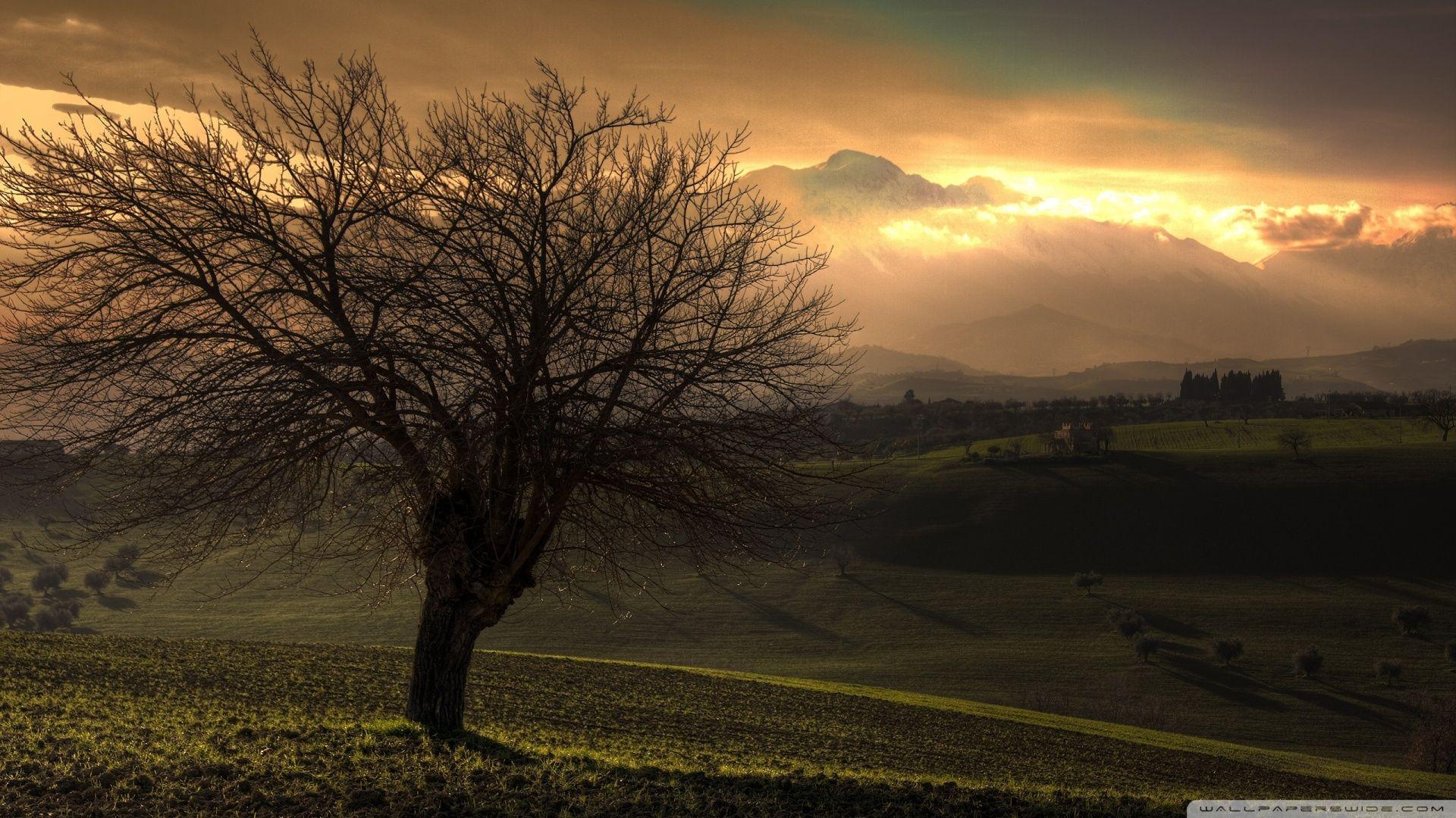 1920x1080 Early Spring Ultra HD Desktop Background Wallpaper for 4K UHD TV : Multi Display, Dual Monitor : Tablet