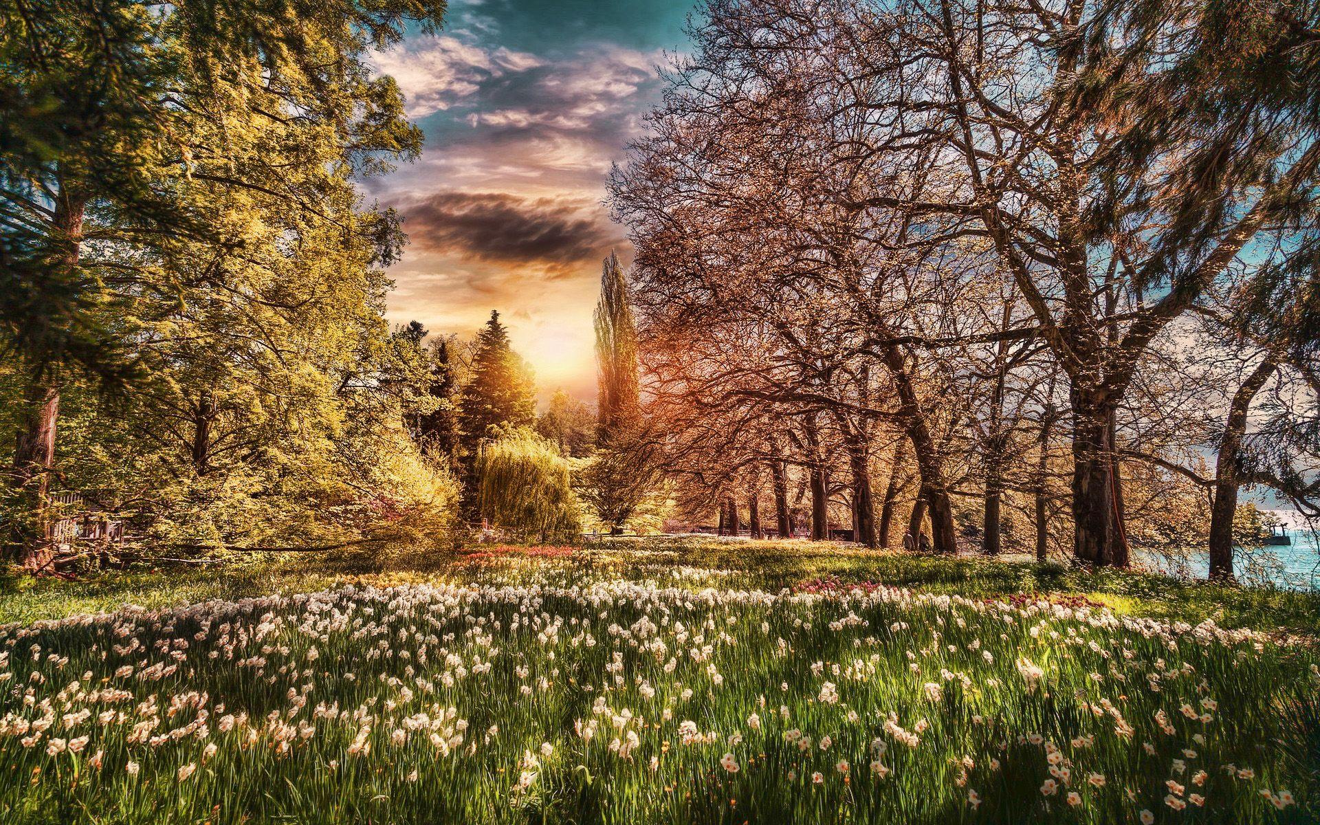 Europe Spring Wallpapers Top Free Europe Spring Backgrounds
