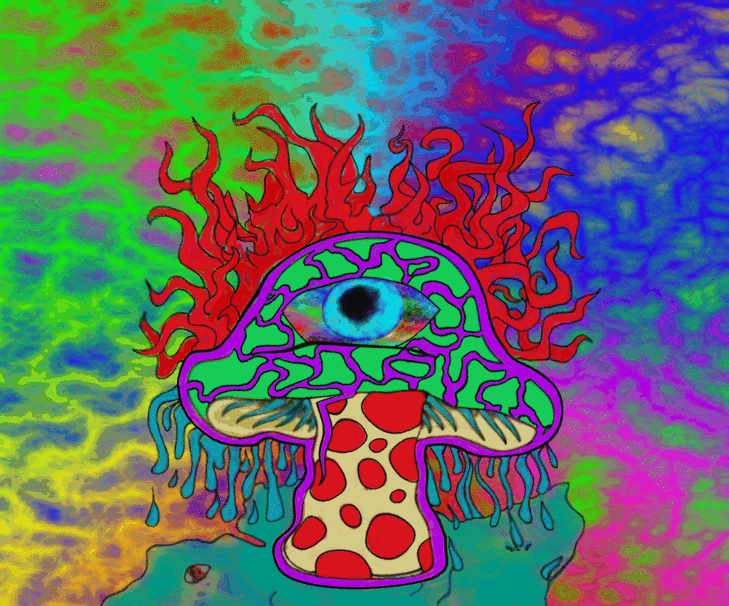 1024x851 Trippy Picture (44)