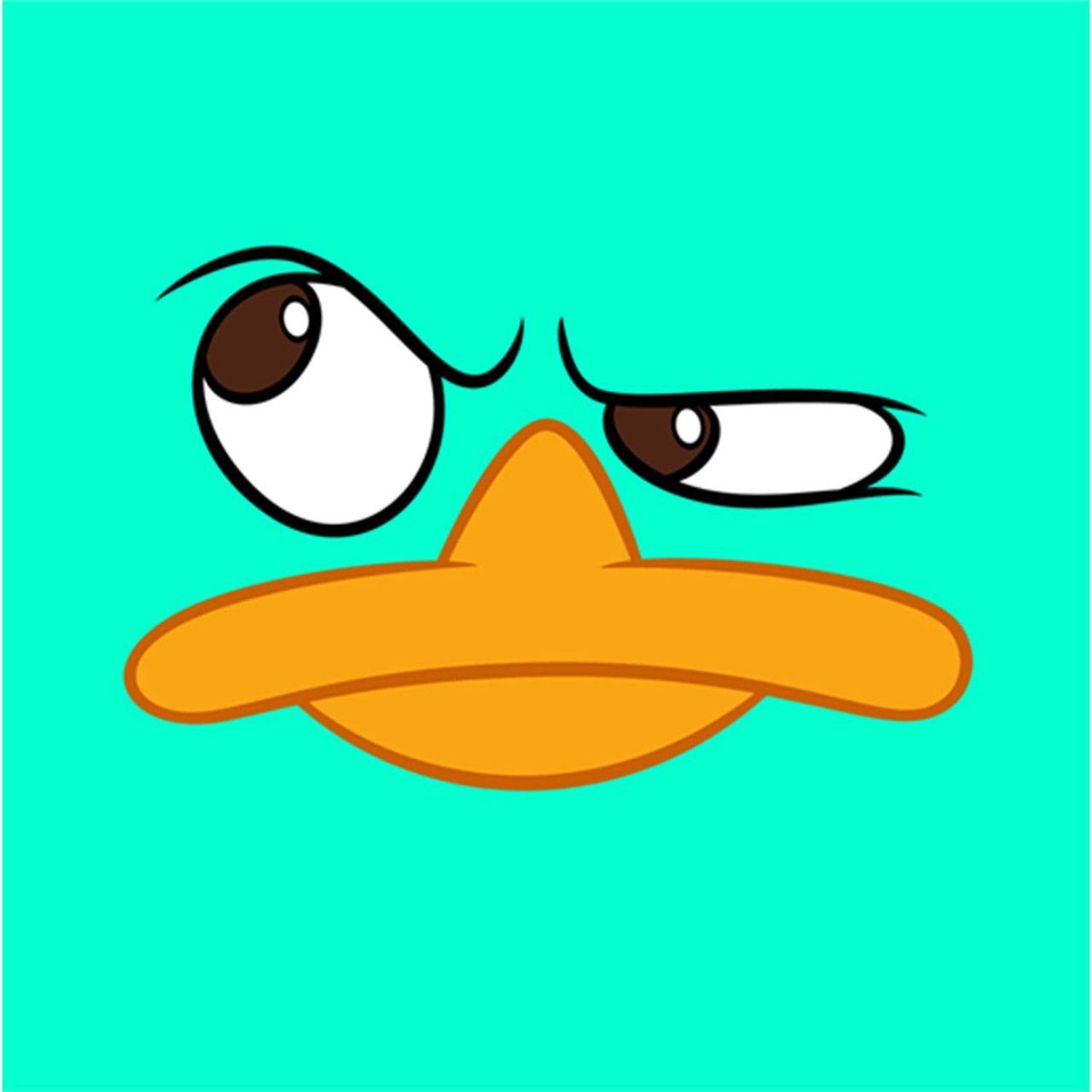 HD perry the platypus wallpapers  Peakpx