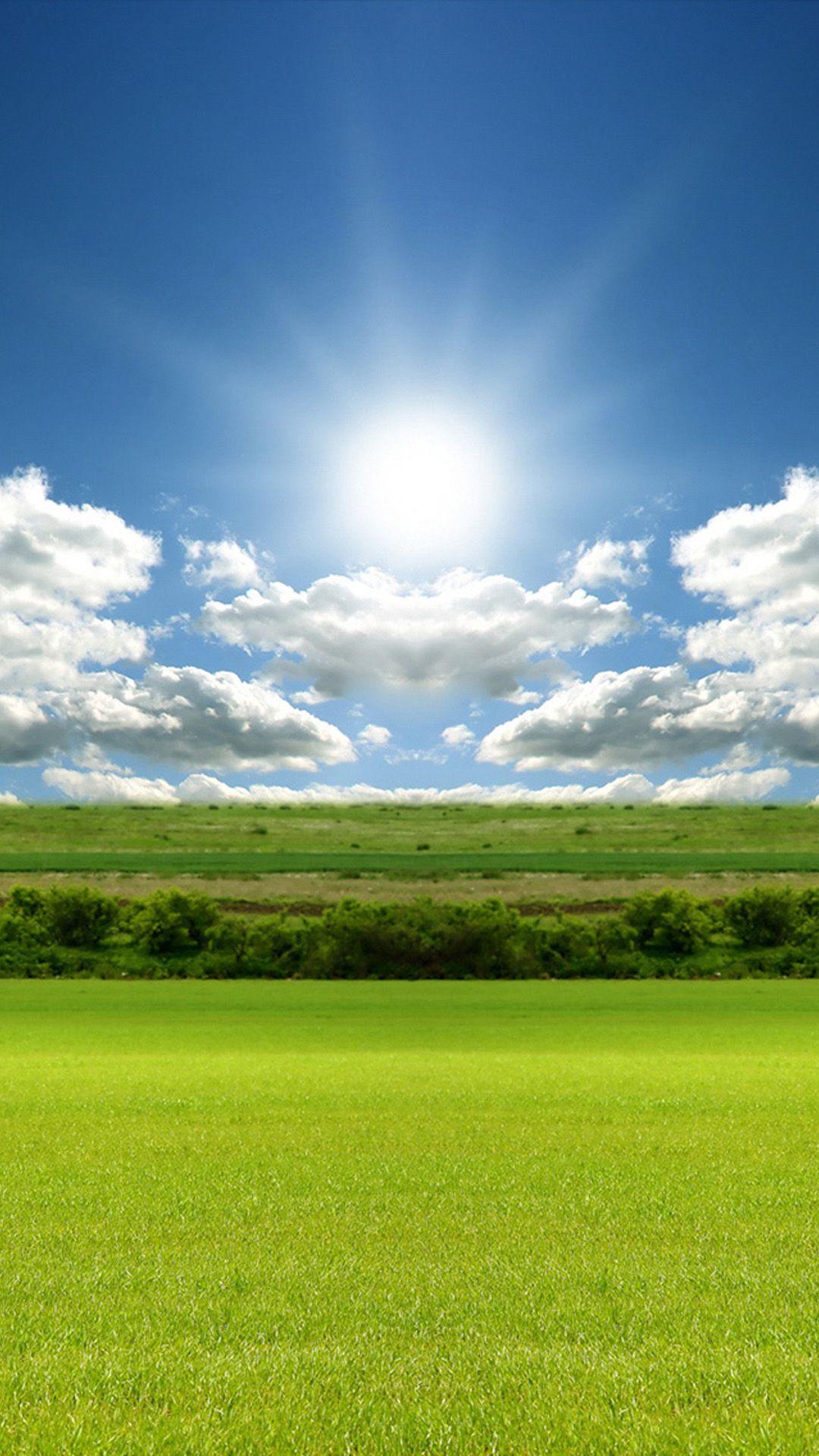 1080x1920 Grass Sun and Sky Android wallpaper HD wallpaper