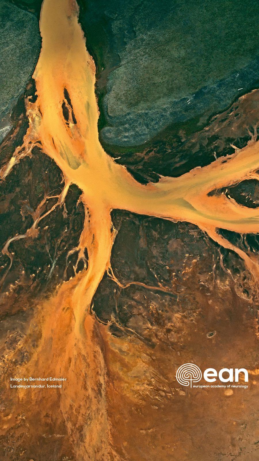 neurology-wallpapers-top-free-neurology-backgrounds-wallpaperaccess