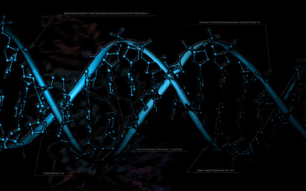 1280x800 trololo blogg: Wallpaper Ecology