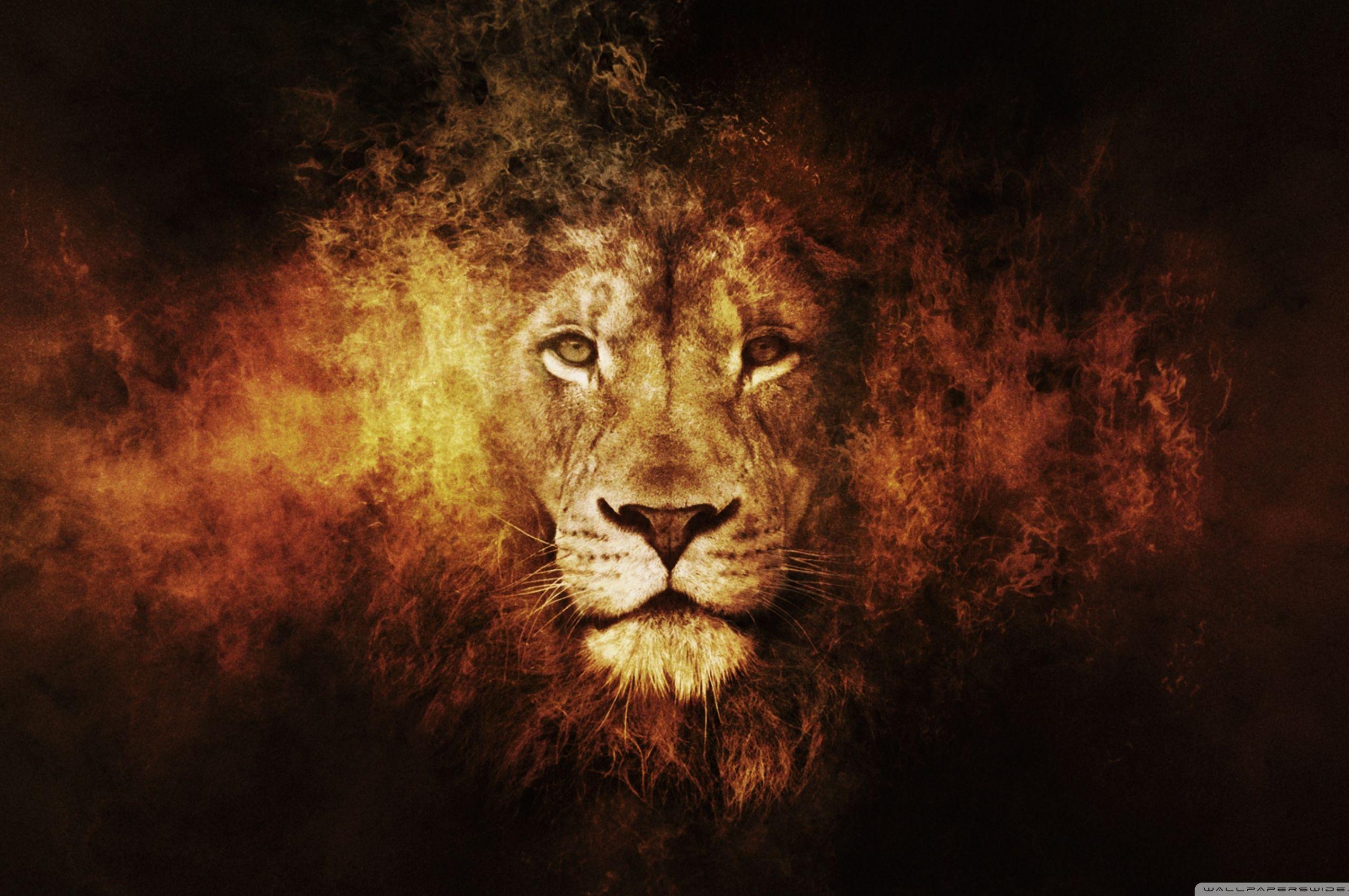 2560x1700 Free download Lion 4K HD Desktop Wallpaper for 4K Ultra HD TV Tablet [2880x1800] for your Desktop, Mobile & Tablet. Explore Lion Desktop Wallpaper. White Lion Wallpaper Desktop, Mountain