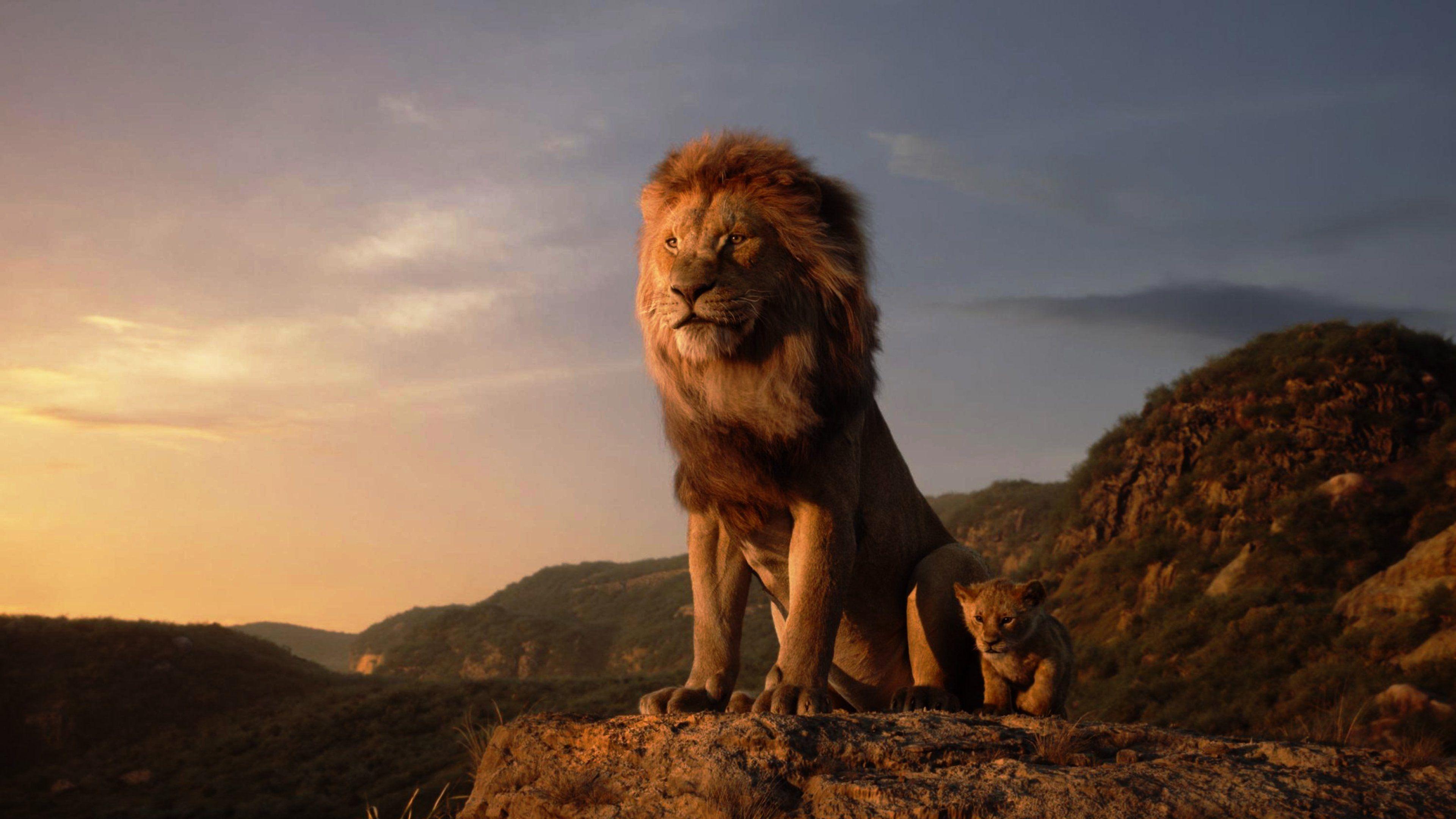 3840x2160 Ultra HD Lion King 4k Wallpaper