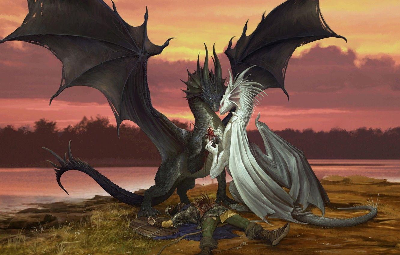 1332x850 Wallpaper love, fantasy, dragon, heart, pair, Valentine, recognition, Valentine's Day, Godfrey Escota, Valentine Dragons image for desktop, section фантастика
