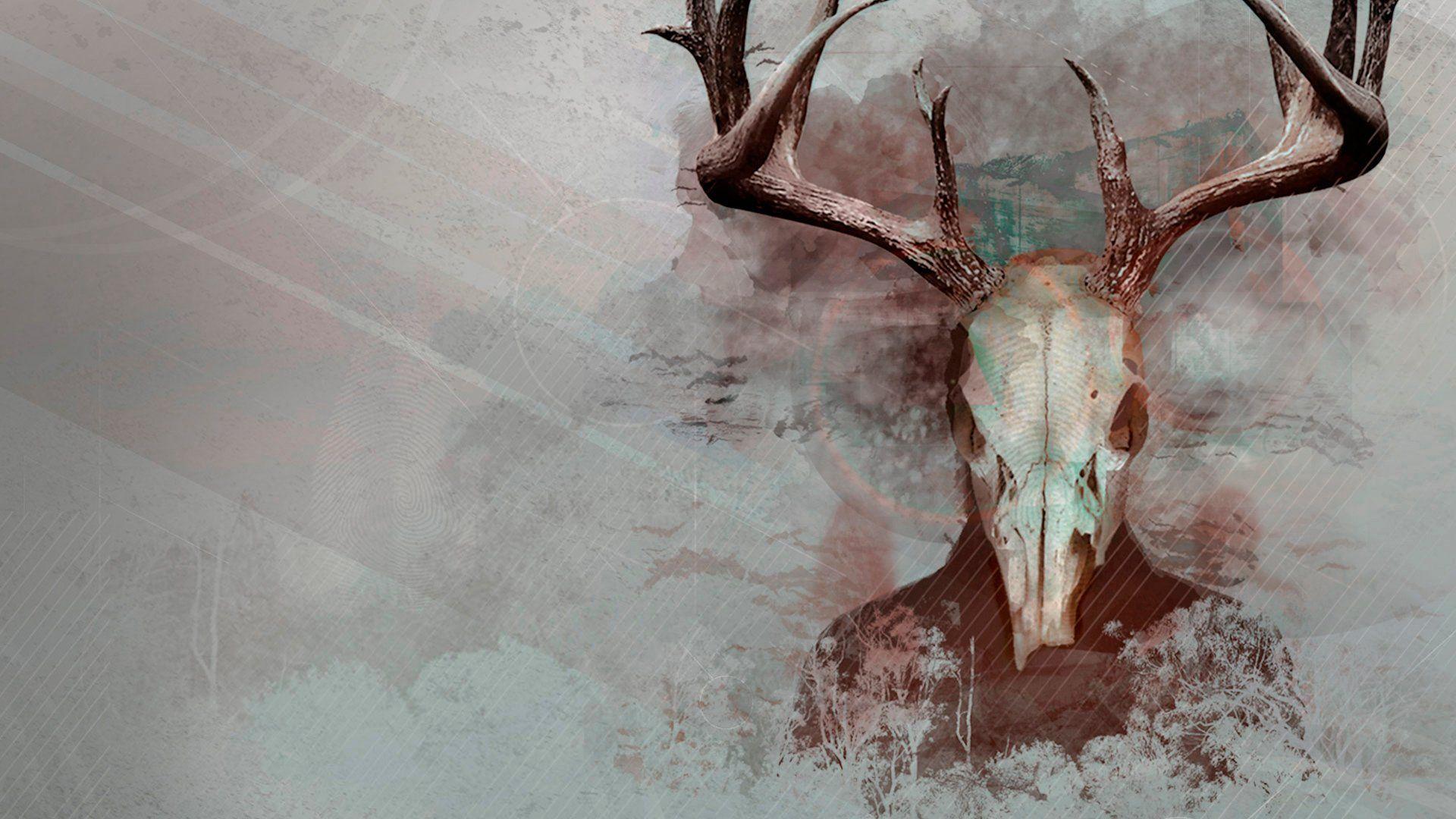 1920x1080 Elk Skull Wallpaper