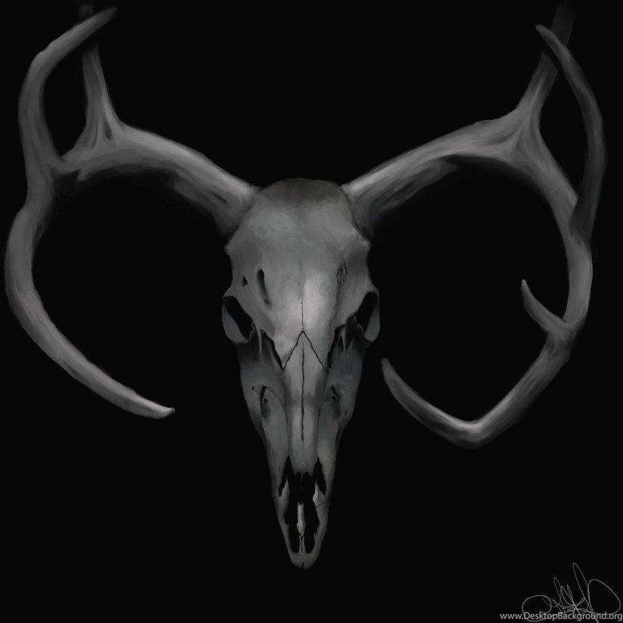 894x894 Jestingstock.com Deer Skull Wallpaper Desktop Background