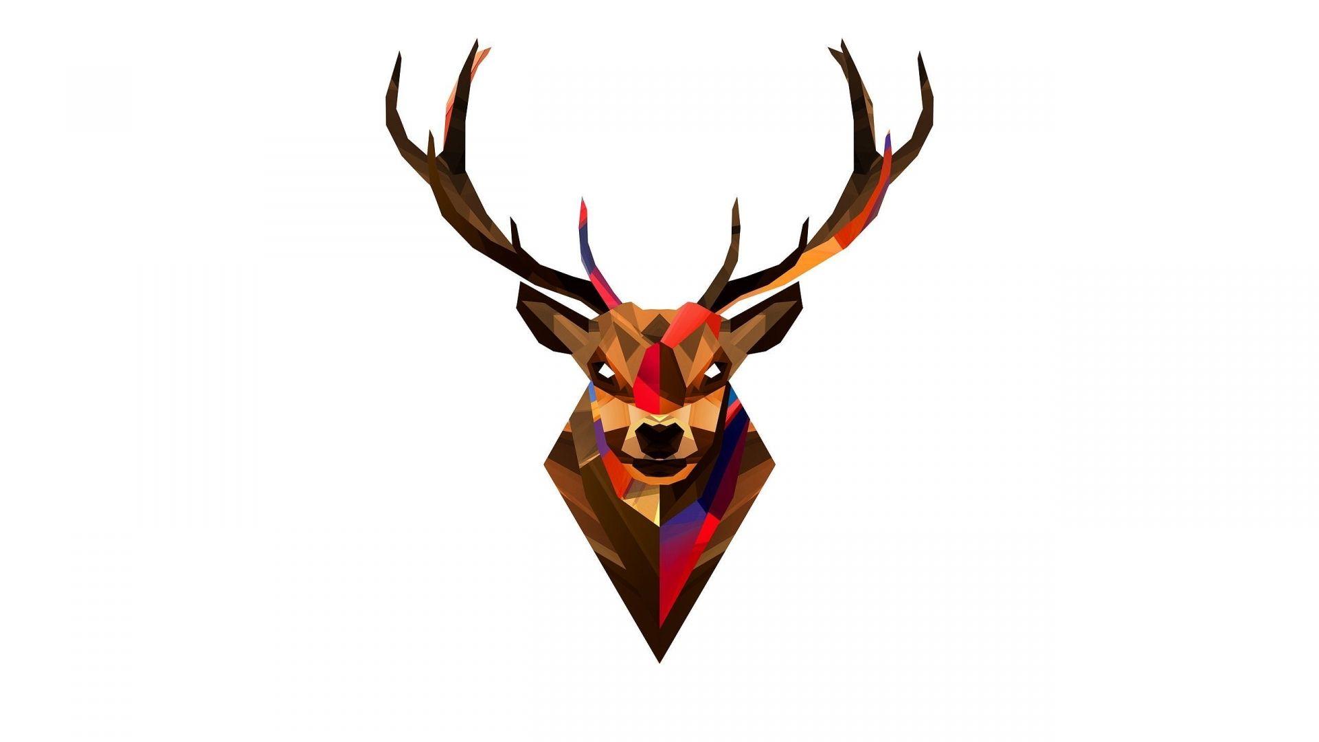 1920x1080 Free download Deer head Wallpaper 3690 [2560x1440] for your Desktop, Mobile & Tablet. Explore Wallpaper Skull Heads. Awesome Skull Wallpaper, Harley Davidson Wallpaper Skills, Girl Skull Wallpaper
