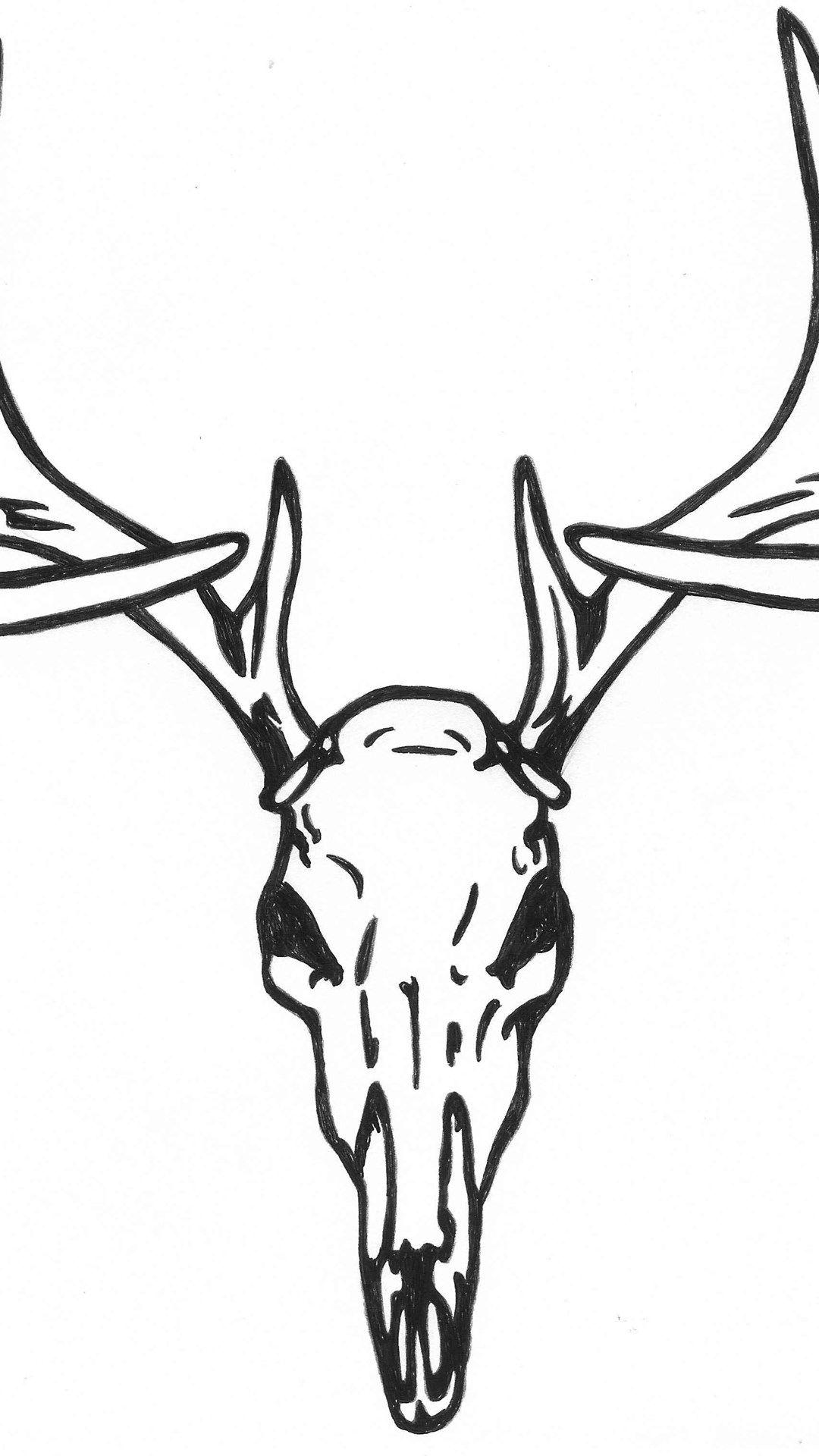 1080x1920 Mummy Skull Wallpaper From Skulls Wallpaper Desktop Background