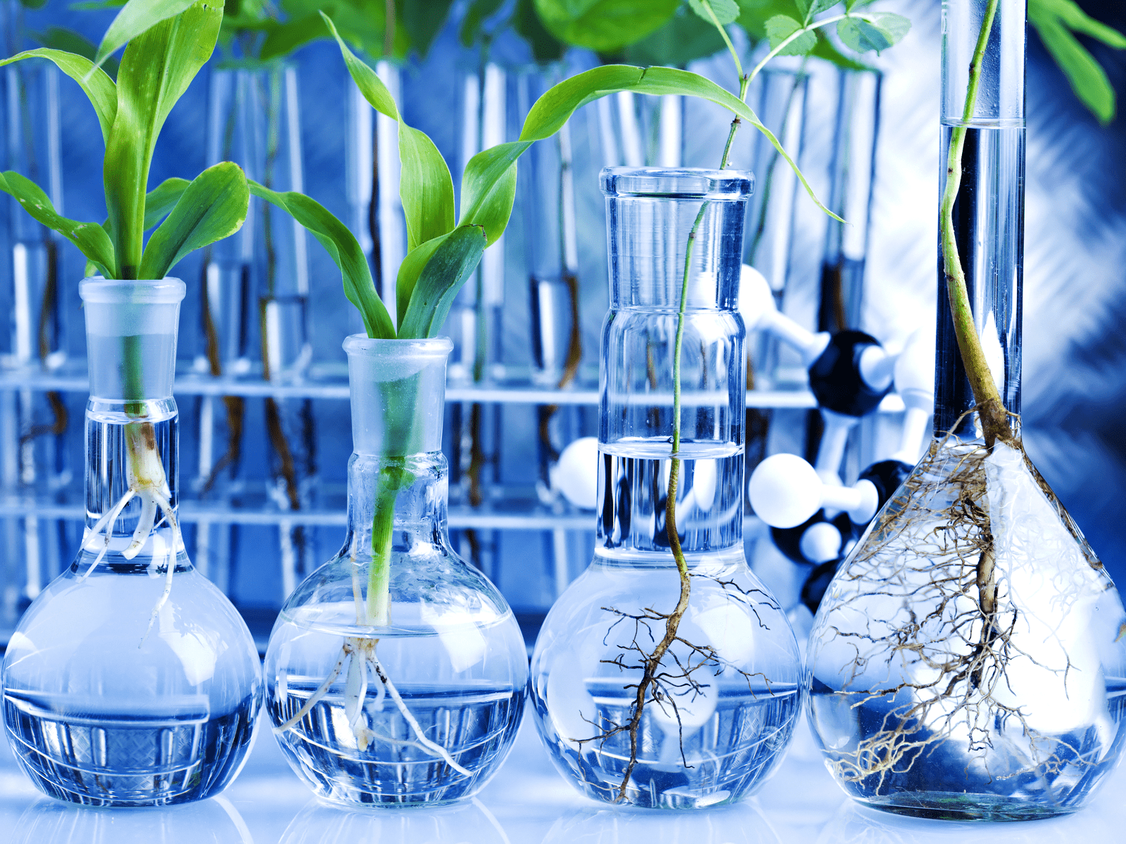 research paper on environmental biotechnology