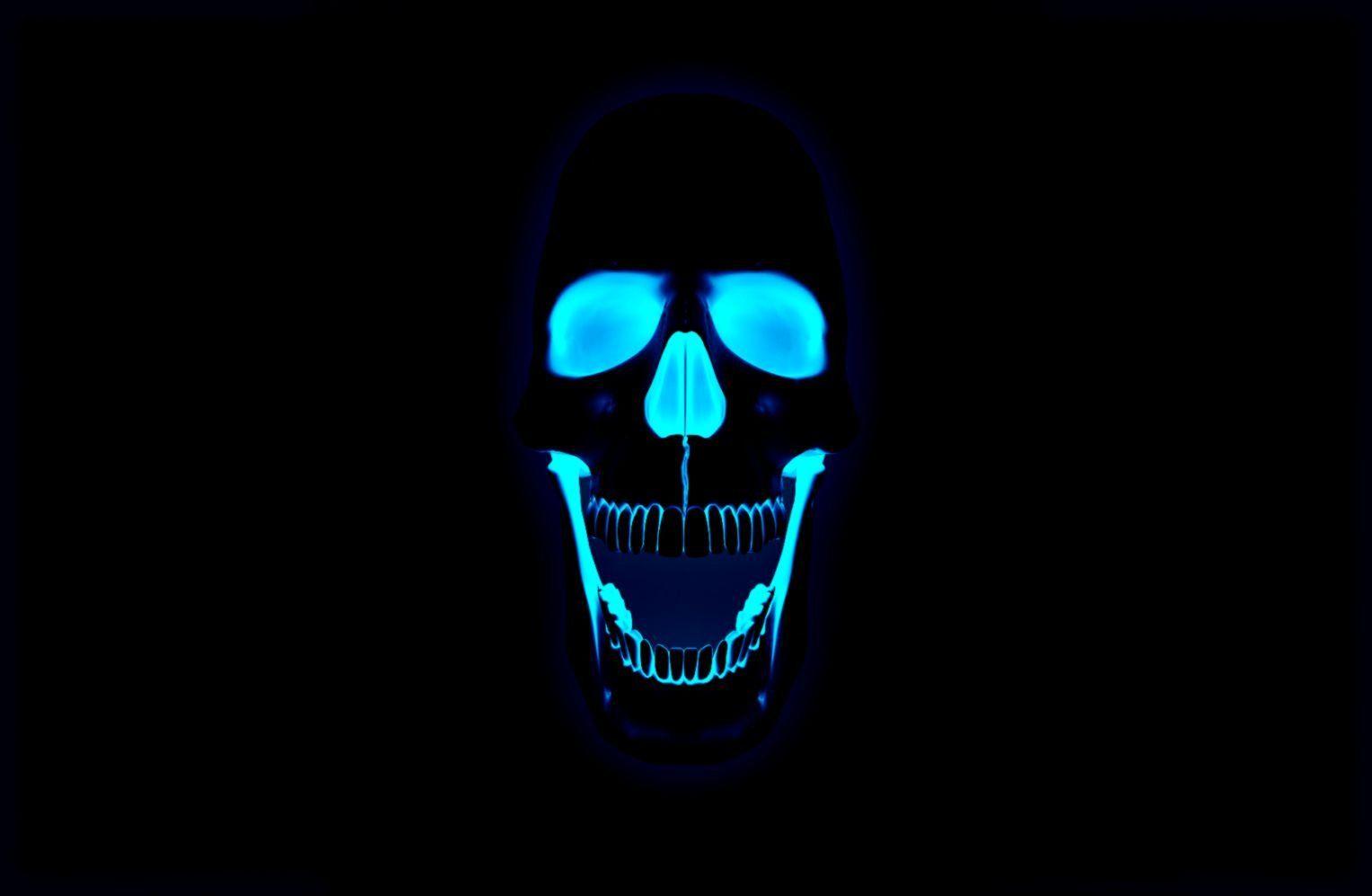 1528x997 Skull Wallpaper Photo