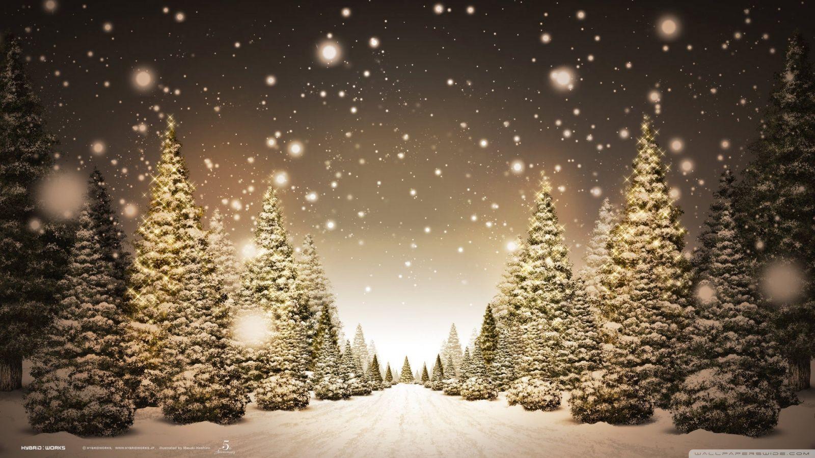 Christmas Wallpapers - Top Free Christmas Backgrounds - WallpaperAccess