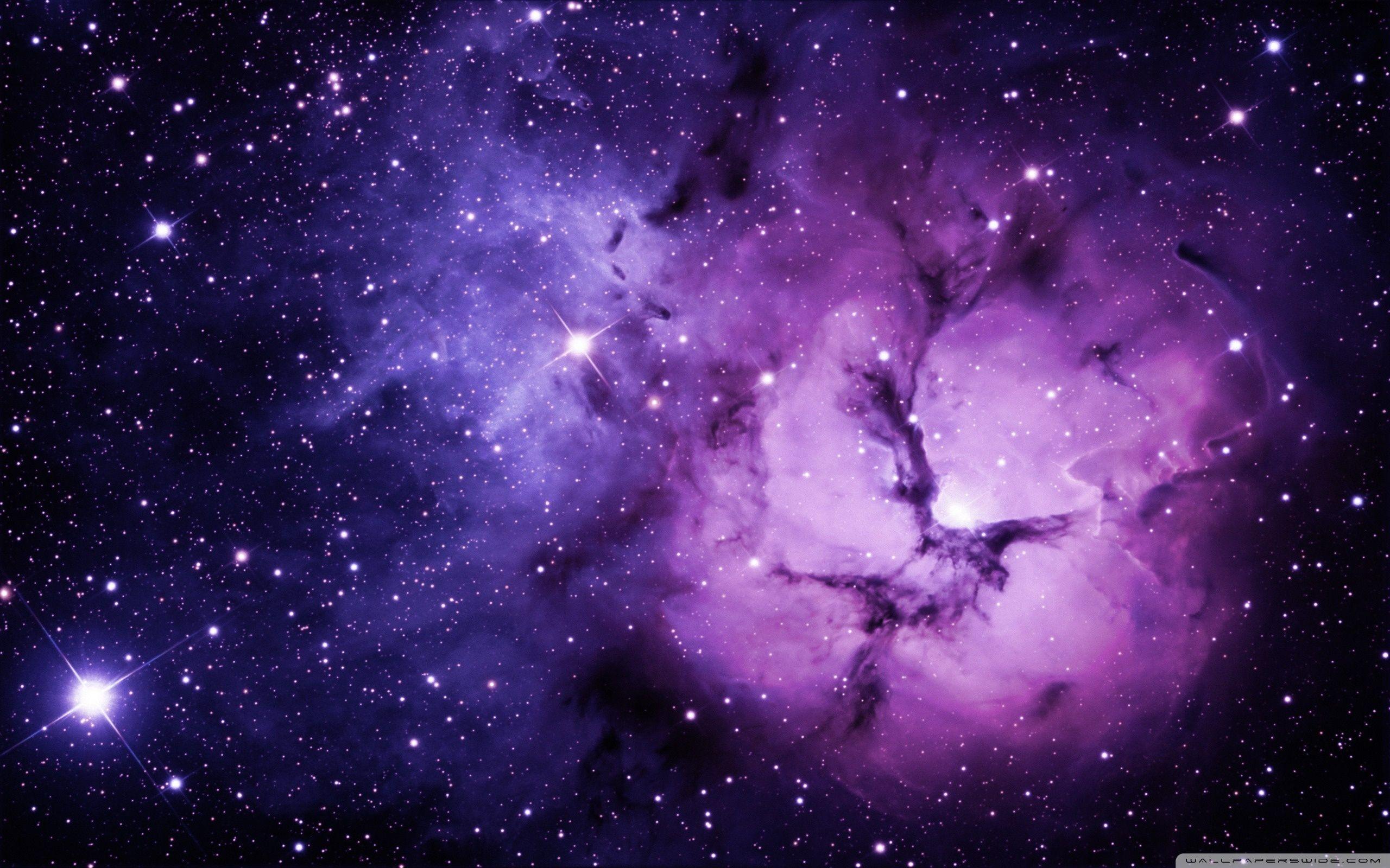 2560x1600 HD Purple Wallpaper Background Image To Download For Free