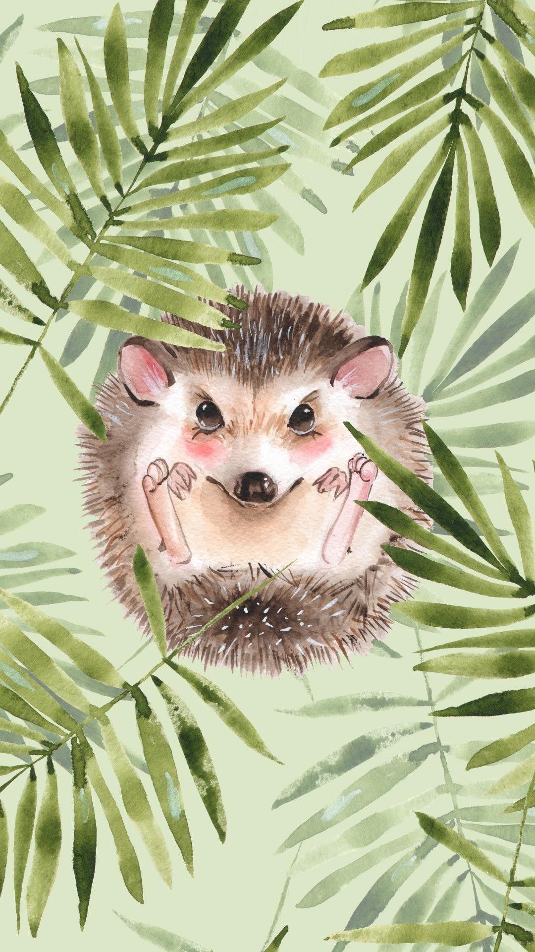 1080x1920 Hedgehog Wallpaper 46 Top Free Hedgehog Picture For Mobile Phone on. Hedgehog, Amazing HD wallpaper, Cute wallpaper