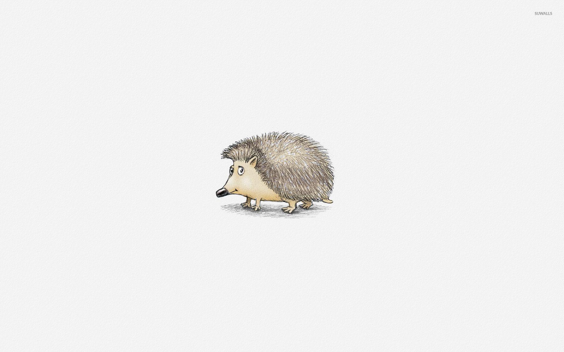 1920x1200 Hedgehog [9] wallpaper wallpaper