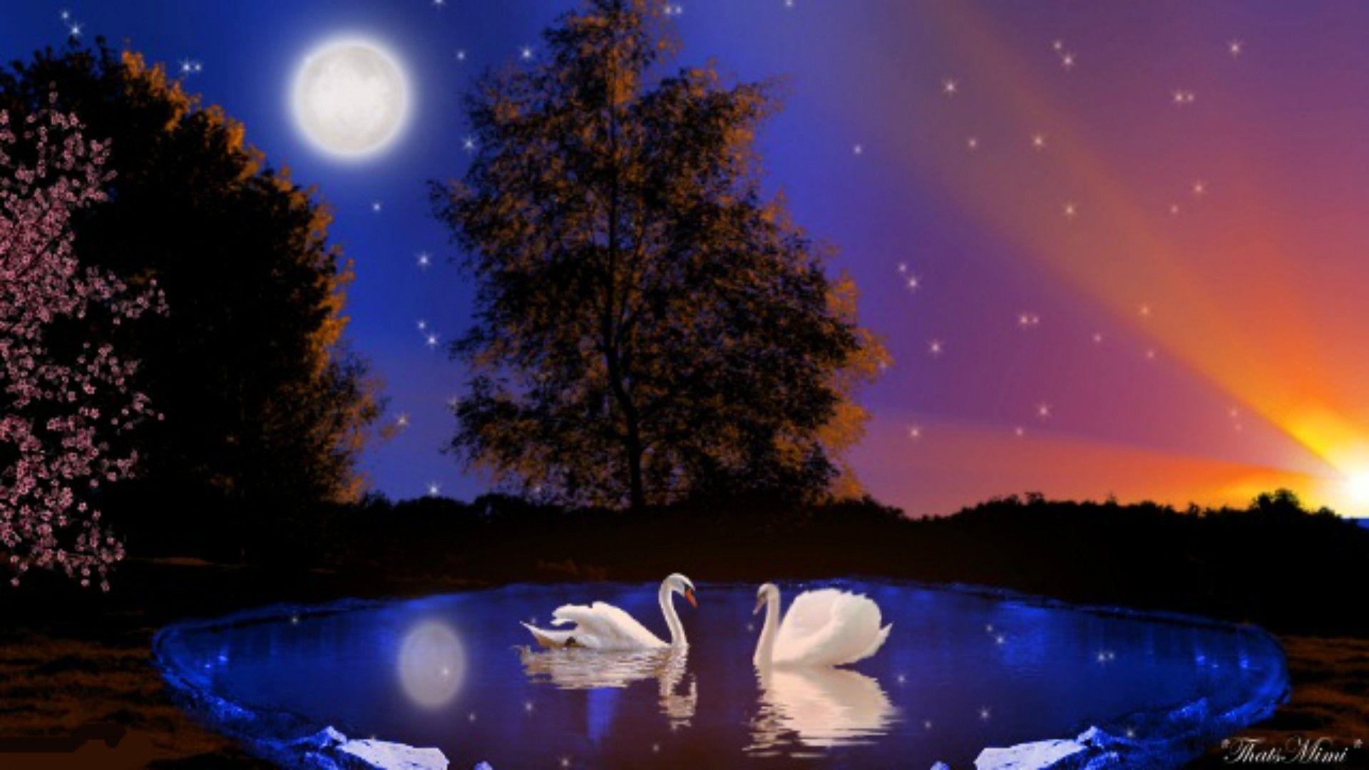 1920x1080 Sunset: Sun Moon Stars Sunset Blue Swans Full Live Wallpaper