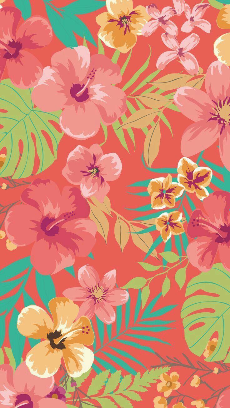 736x1306 Wallpaper. Coral wallpaper, Summer wallpaper, Floral wallpaper