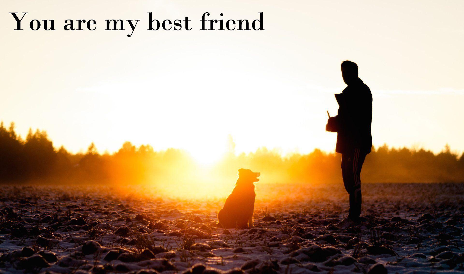 1920x1135 My Best Friend Wallpaper