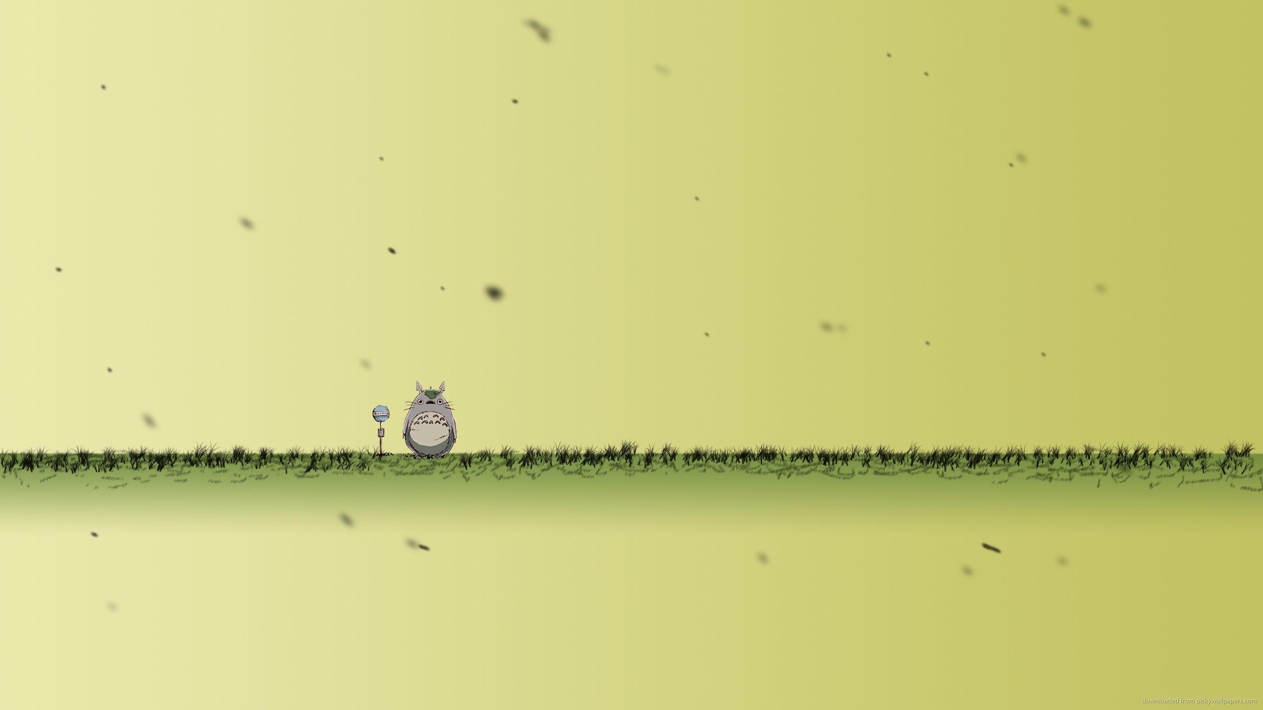 2560x1440 My Neighbor Totoro Full HD Wallpaper