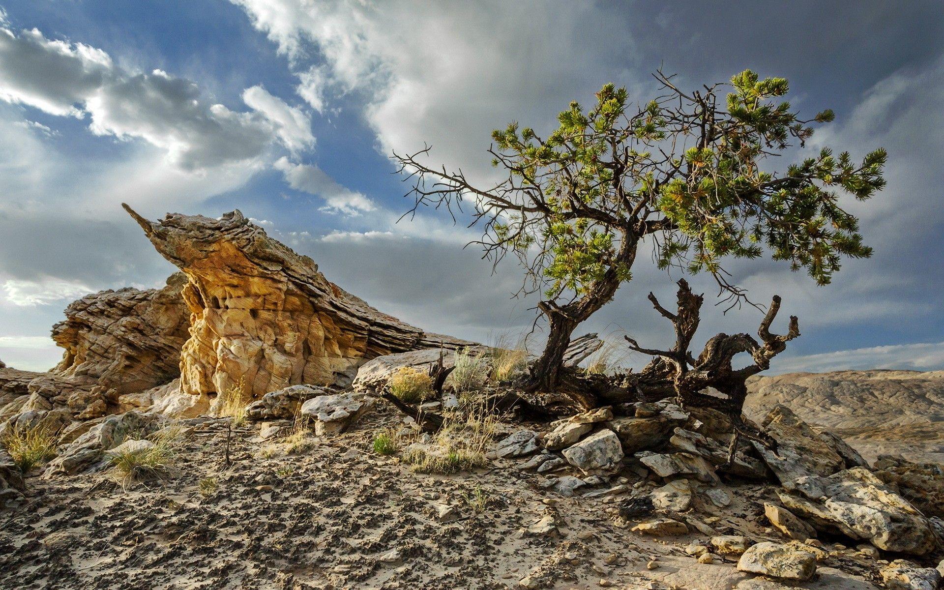 1920x1200 Desert HD Wallpaper. Background Imagex1200