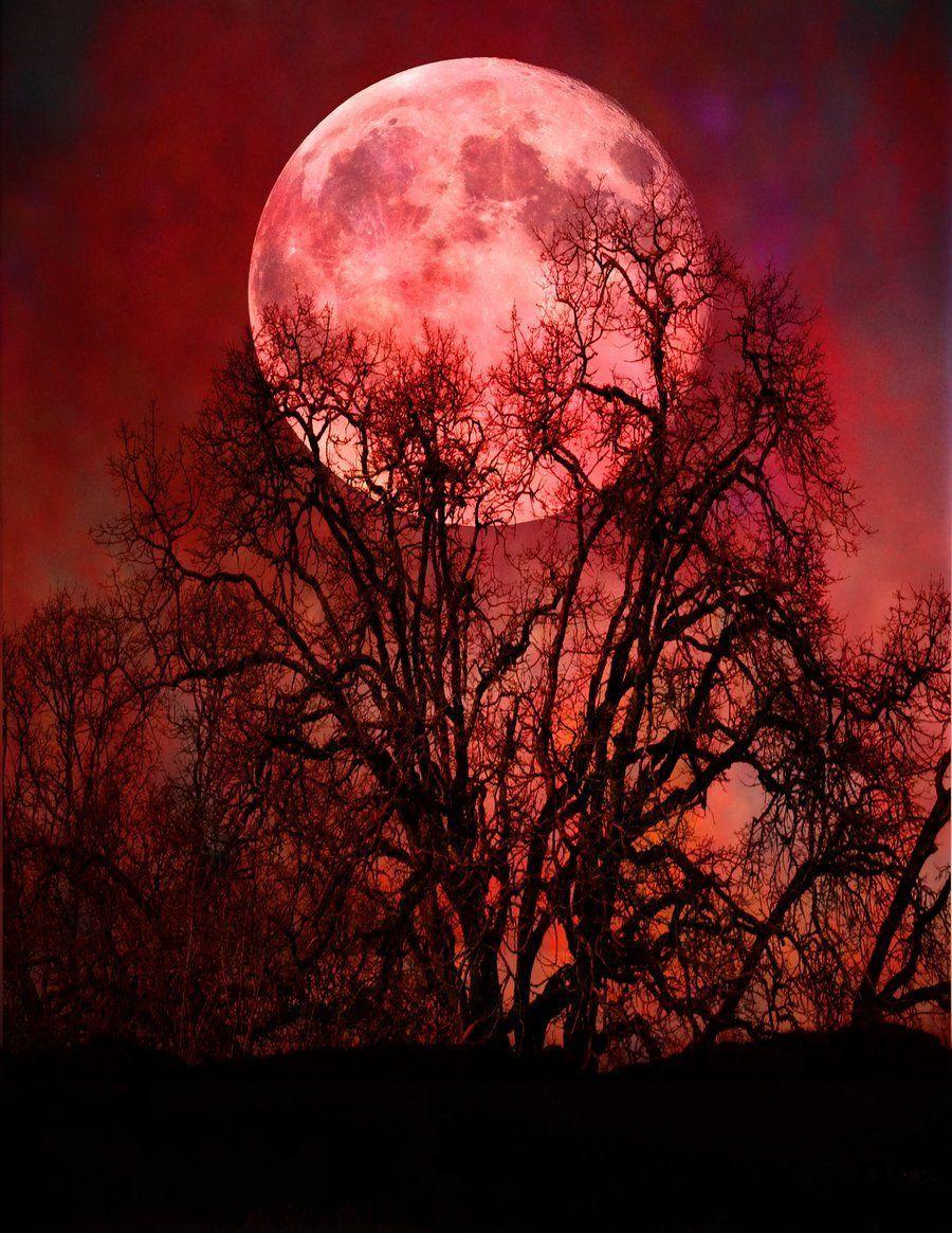 Blood Moon iPhone Wallpapers - Top Free Blood Moon iPhone Backgrounds ...