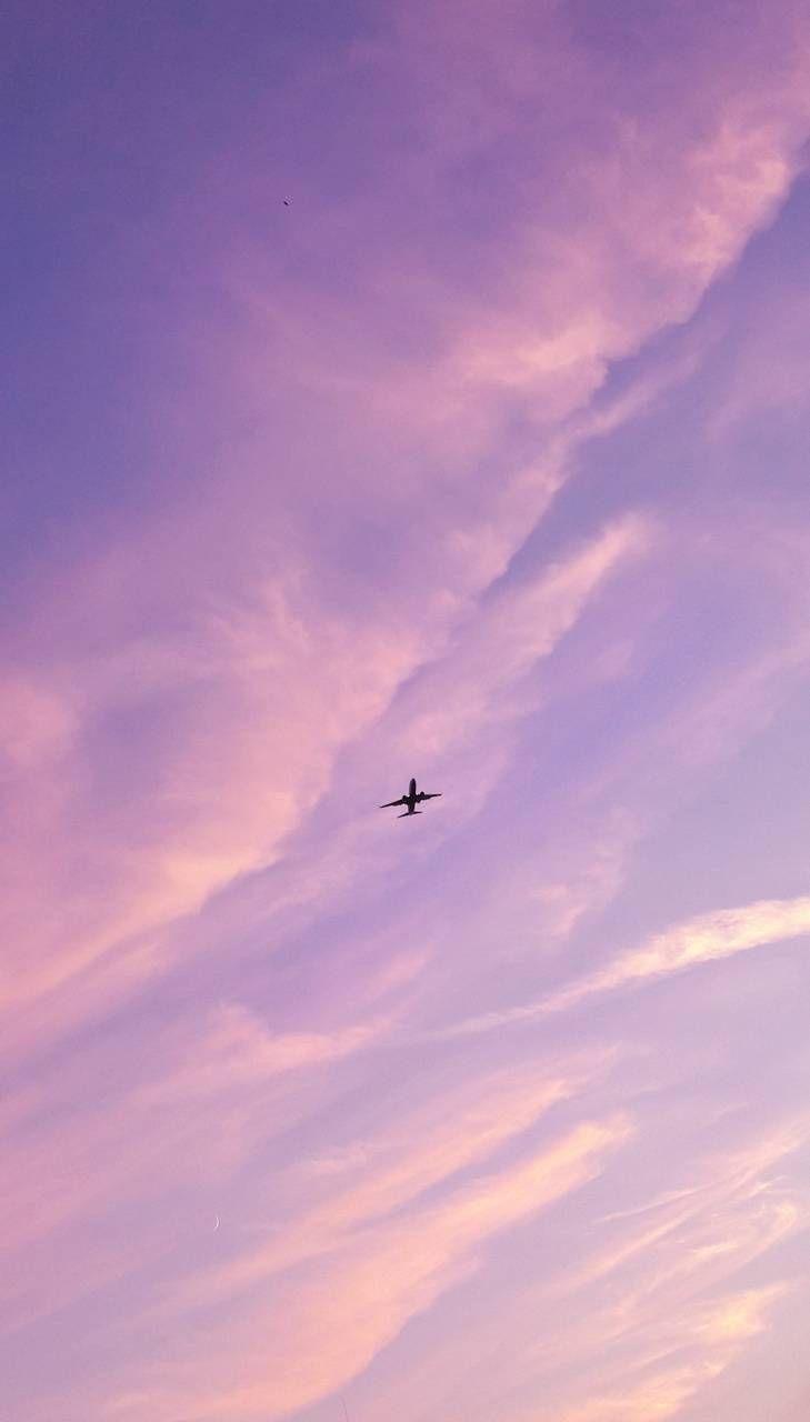 729x1280 fly wallpaper