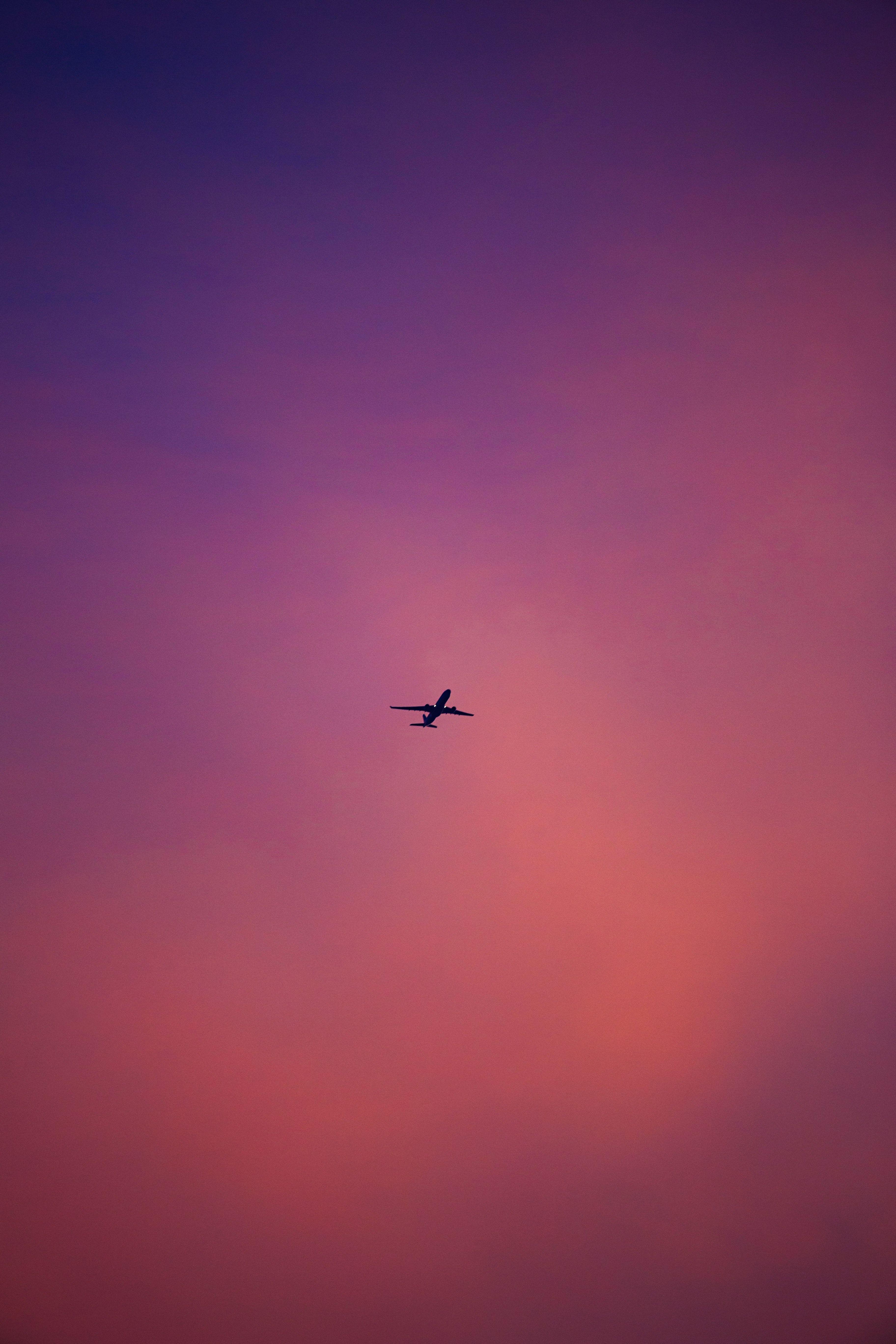 3648x5472 Download wallpaper 3648x5472 plane, flight, sky, pink HD background